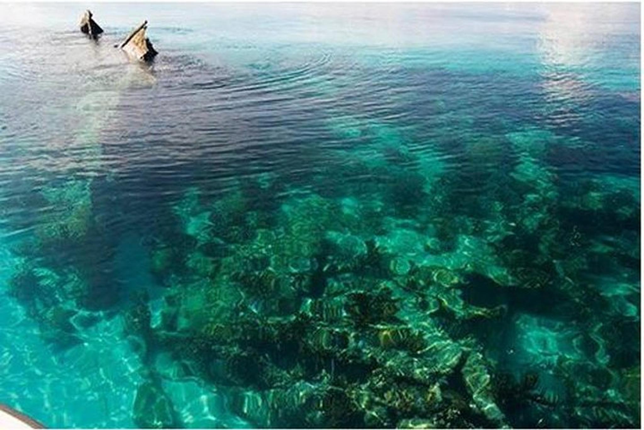 Key West Dry Tortugas Catamaran Day Trip - Image 5