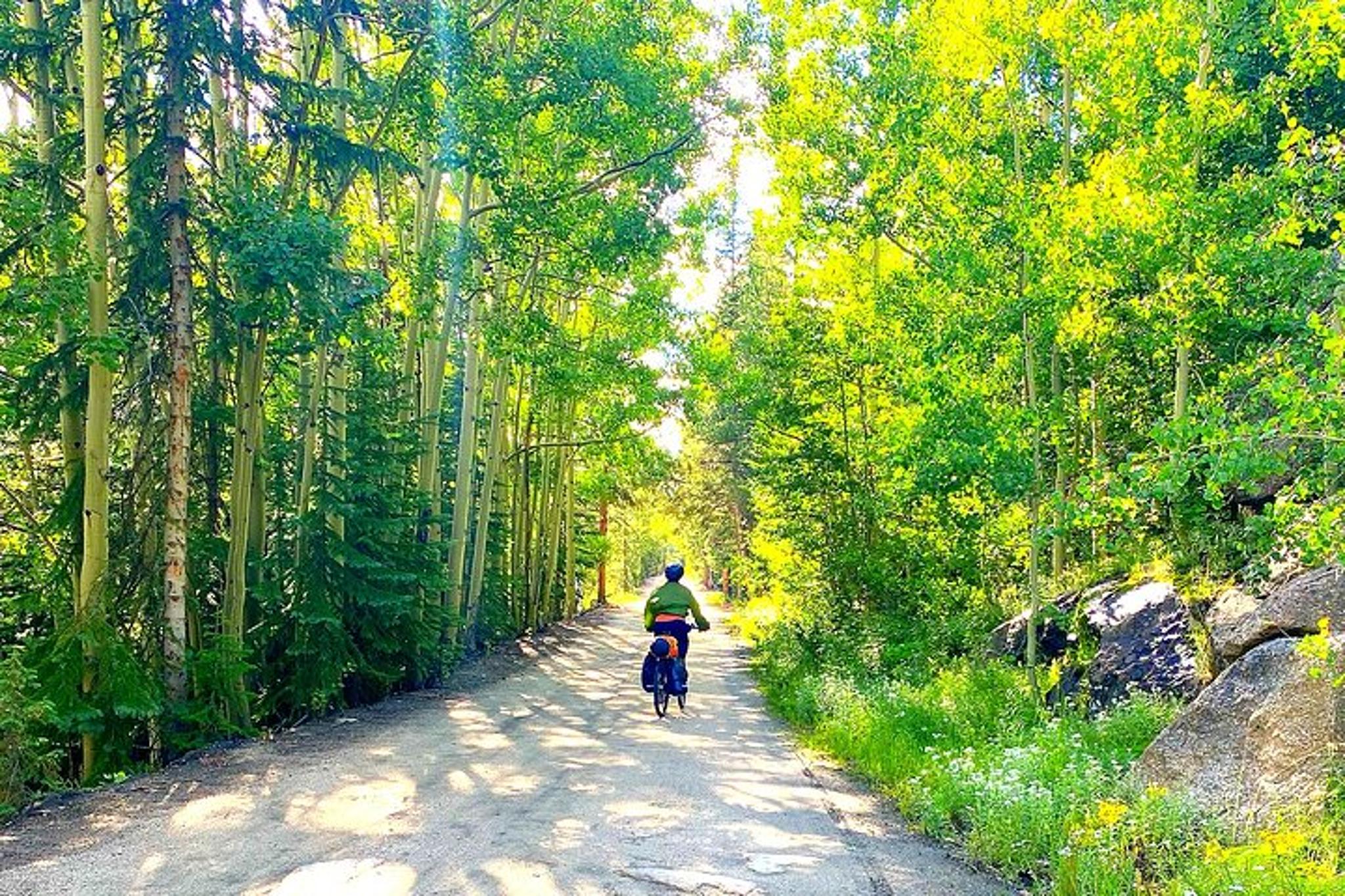 Denver E-Bike Tour with Lunch and Transport