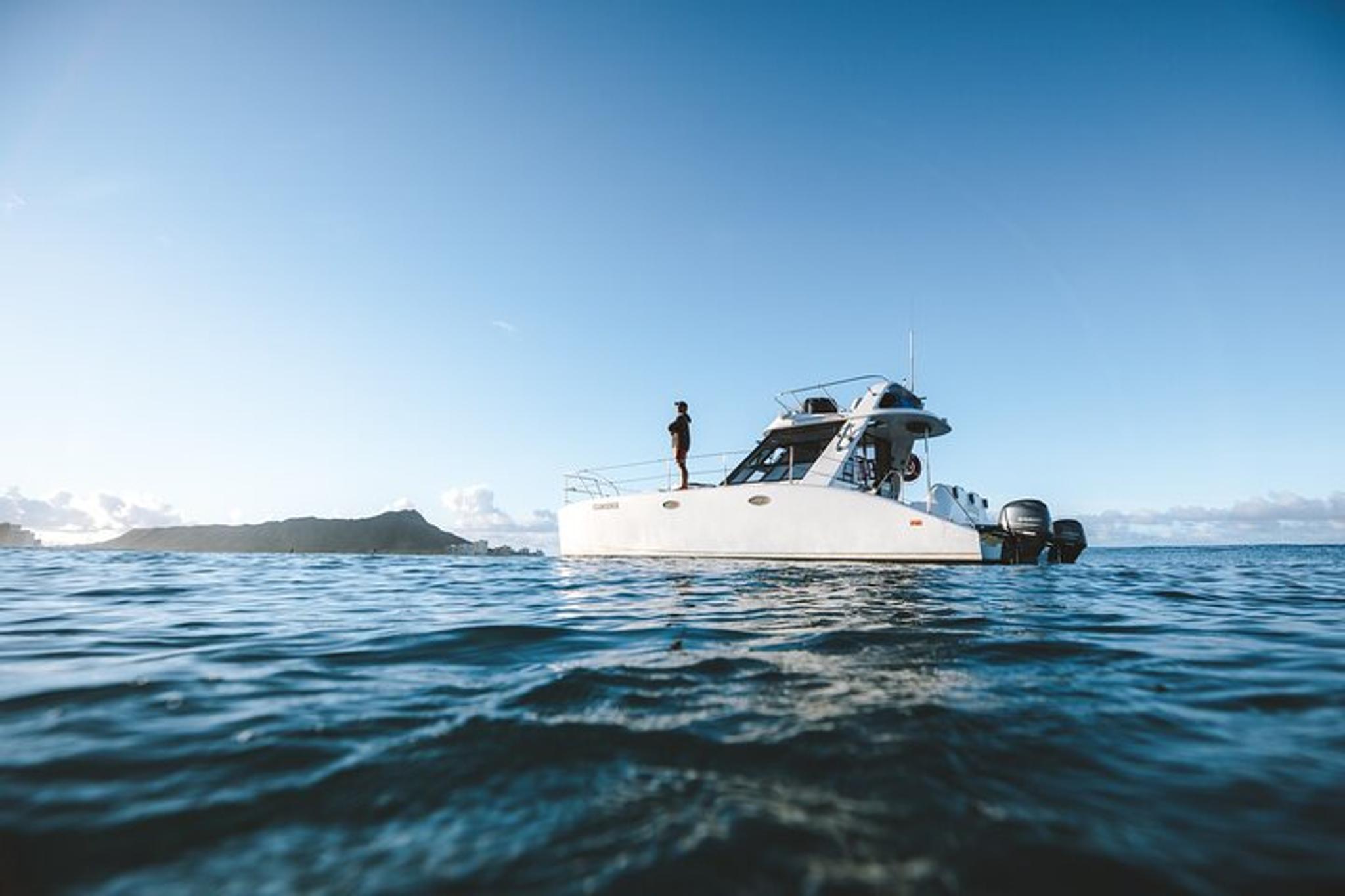 Honolulu Whale Watching and Coastal Swimming Tour - Image 1