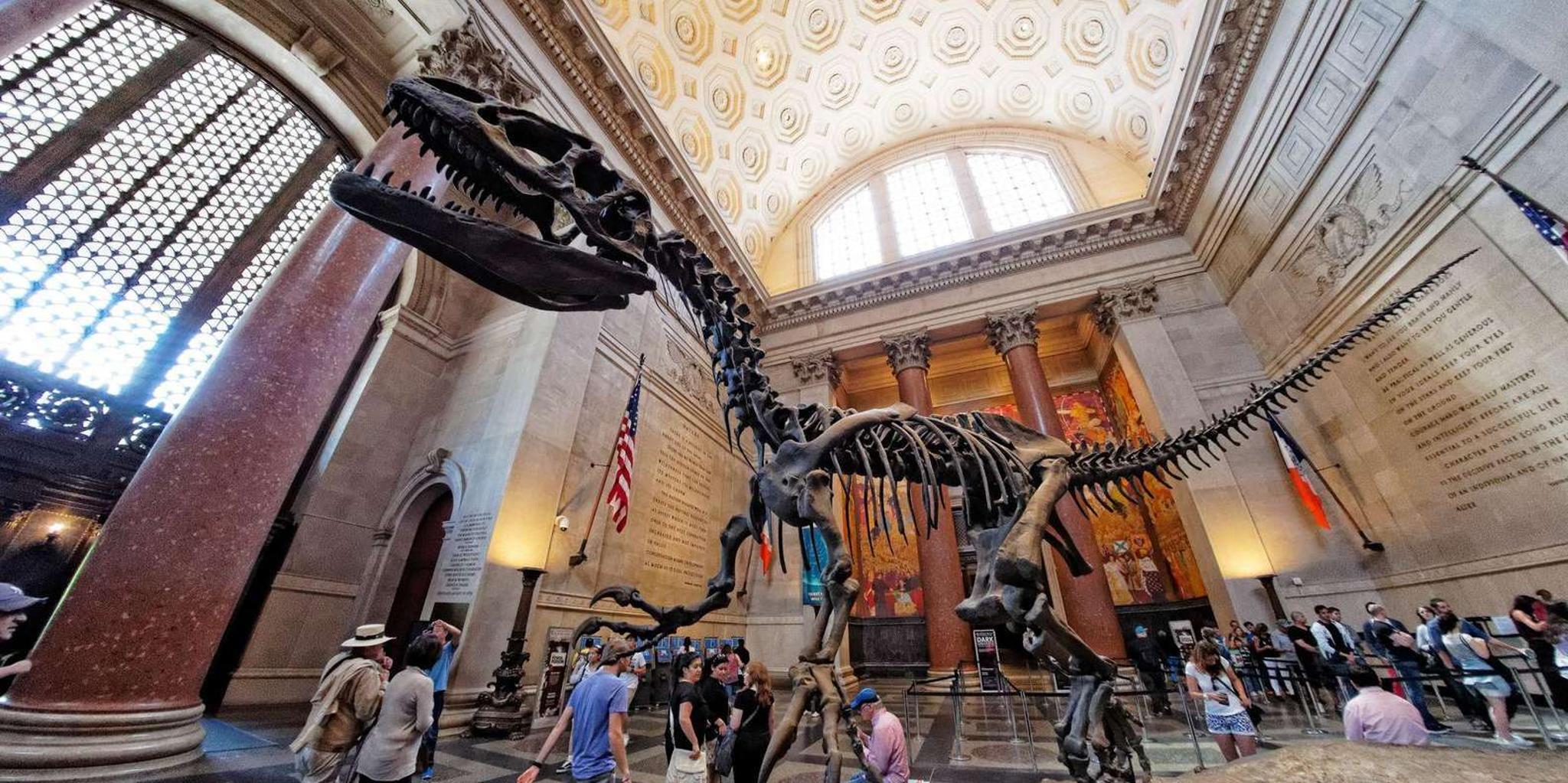 Washington DC Museum of Natural History Private Tour - Image 4