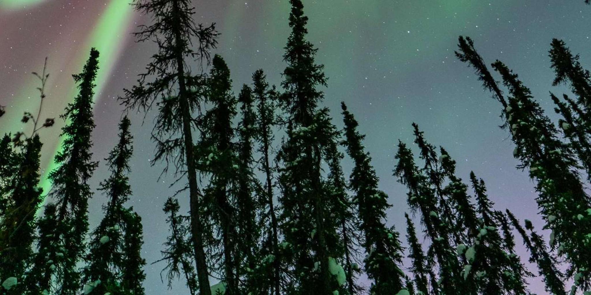 Fairbanks Northern Lights Tour