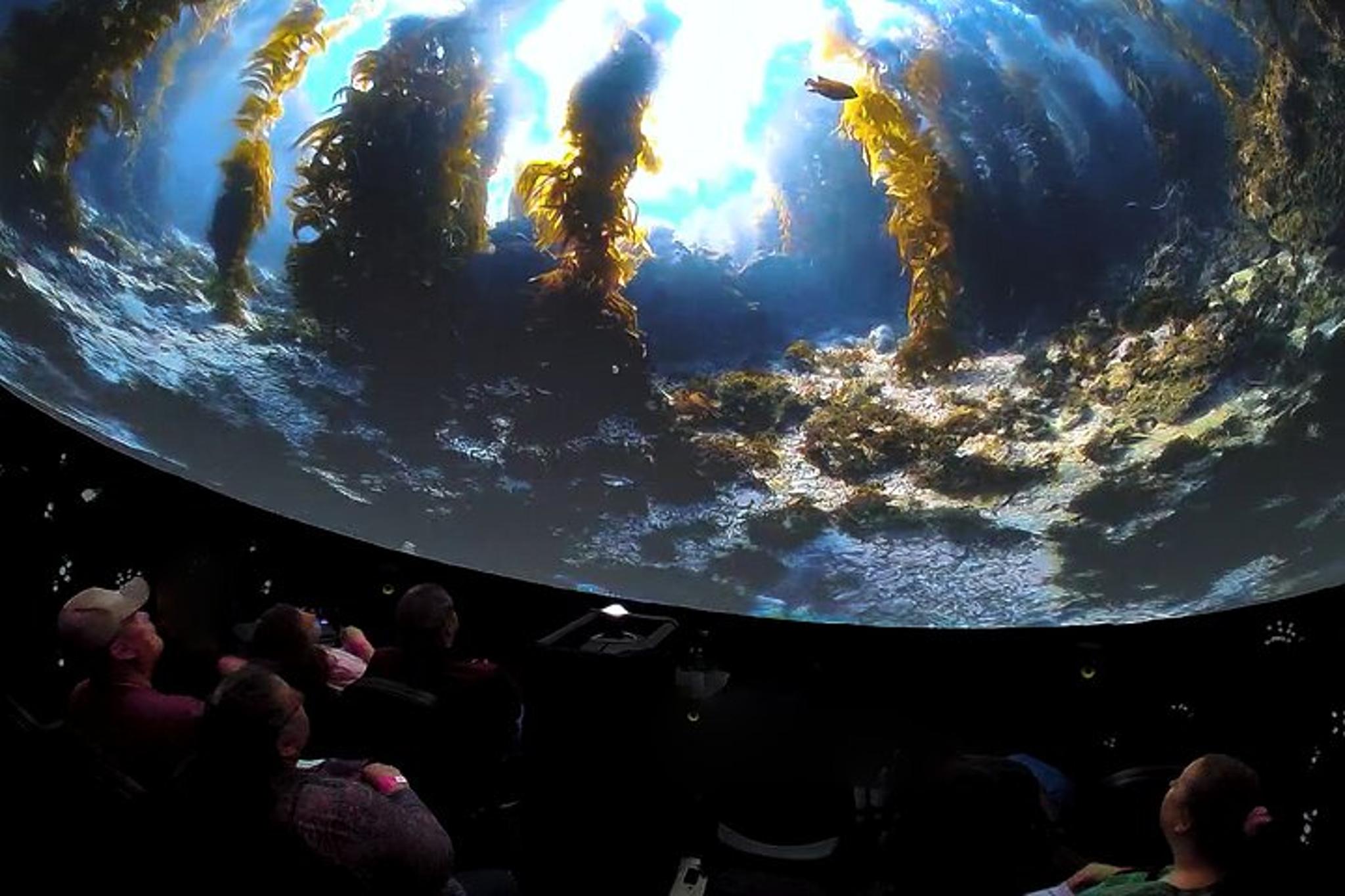 Catalina Island Immersive Movie Experience - Image 5