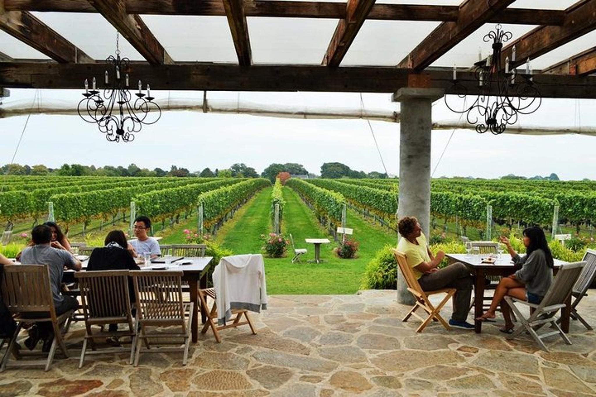 Long Island Winery Tour - Image 4