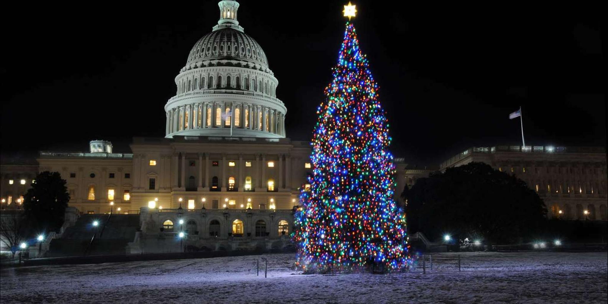 Washington, DC Holiday Lights Nighttime Bus Tour