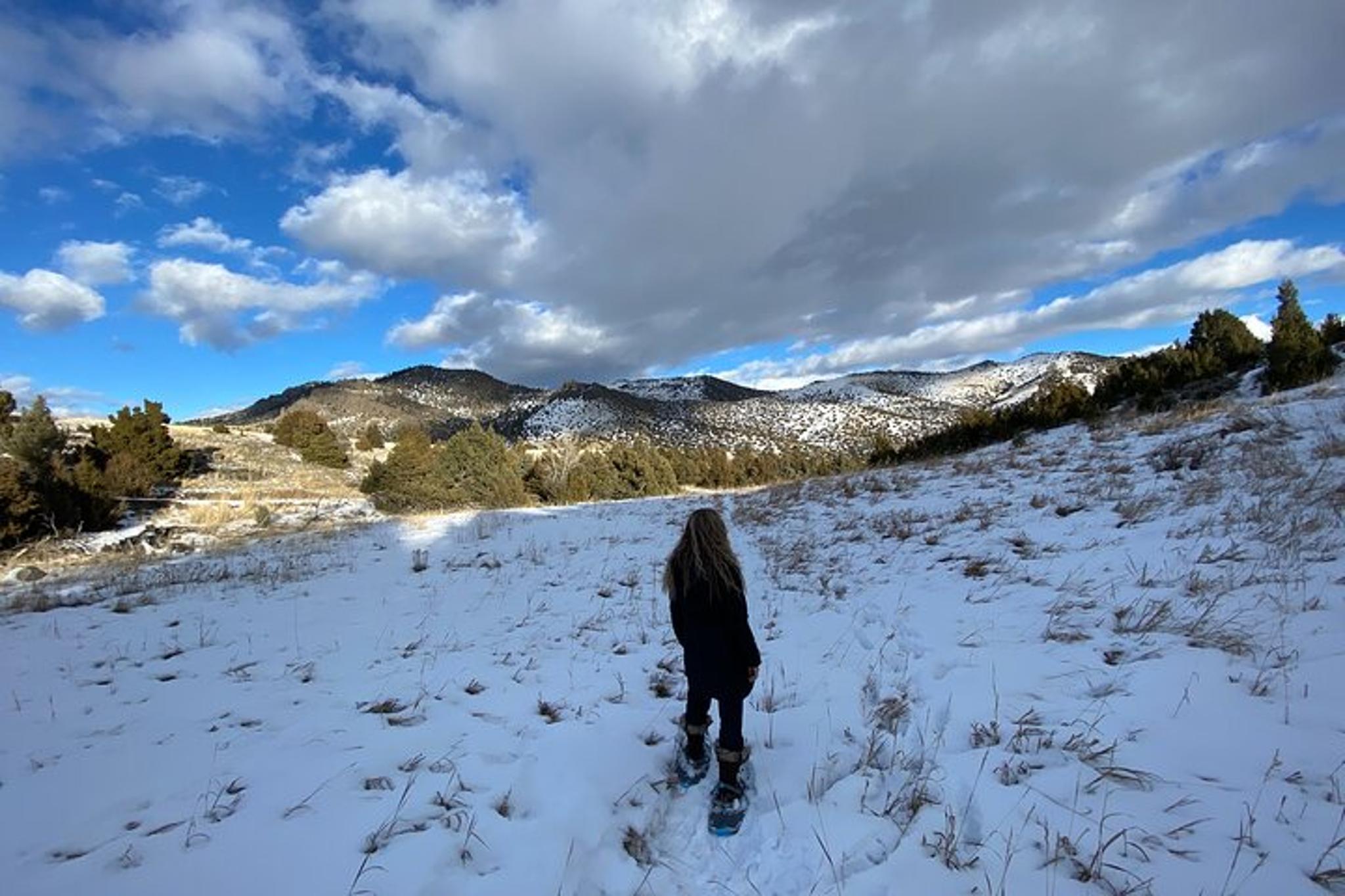 Paradise Valley Snowshoeing Tour - Image 3