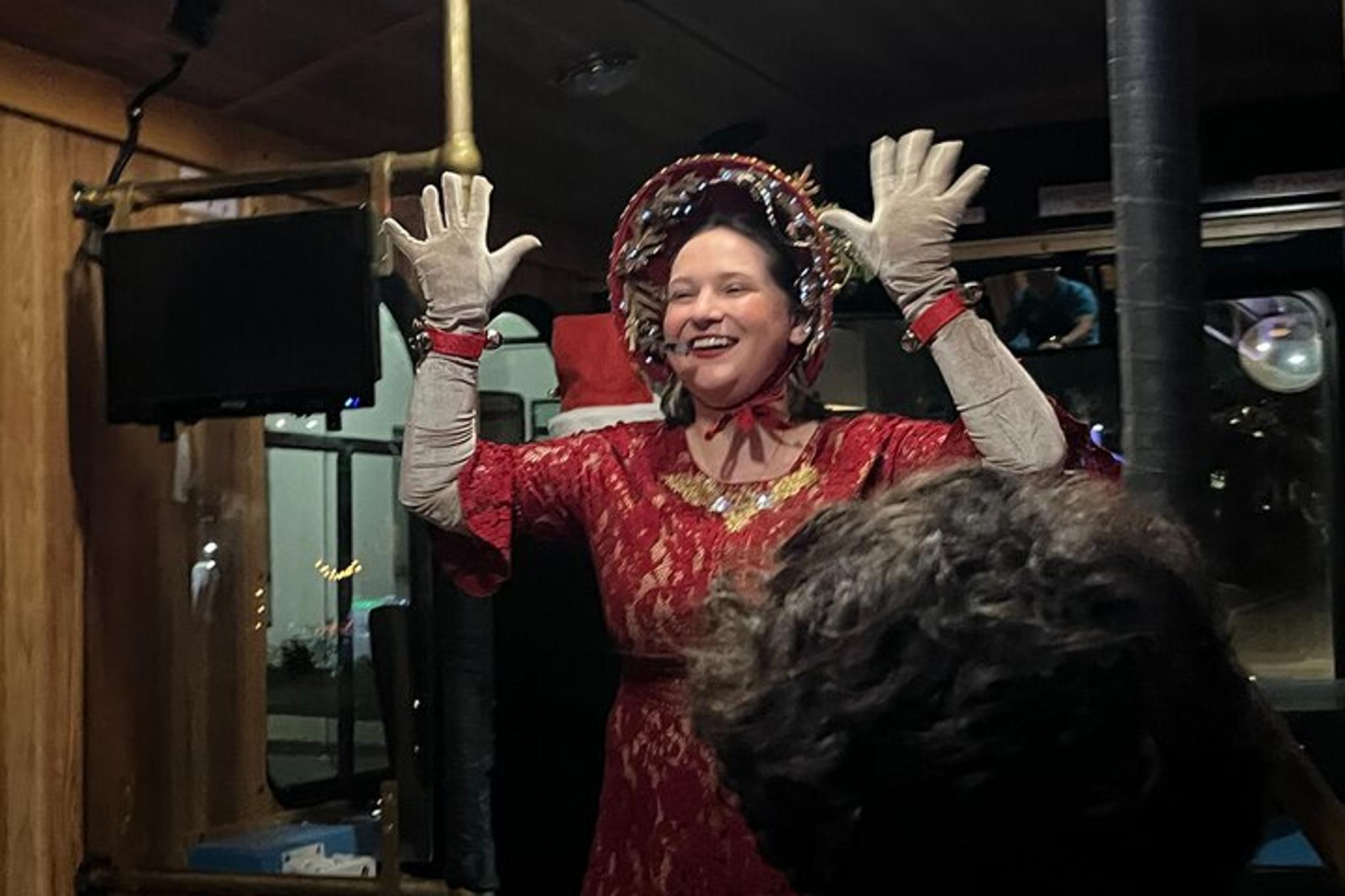 Sarasota Holiday Music & Lights Trolley Tour - Image 6