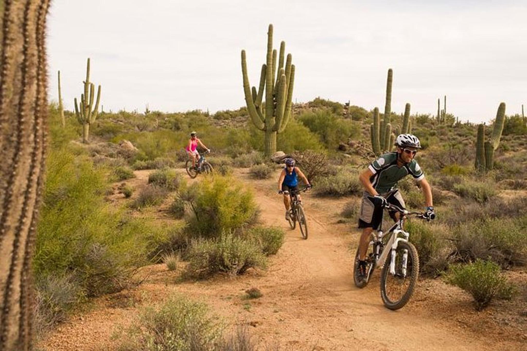 Scottsdale Mountain Bike Tour in Sonoran Desert - Image 5