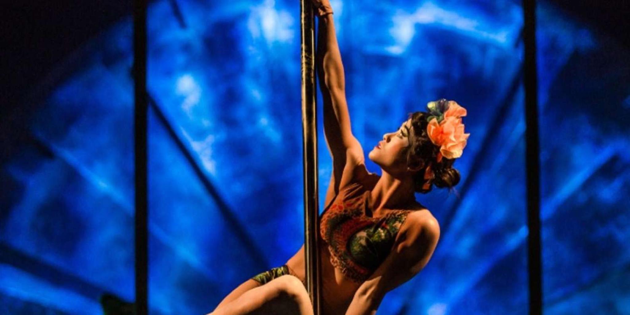 Oaks Cirque du Soleil LUZIA Entry Ticket - Image 4