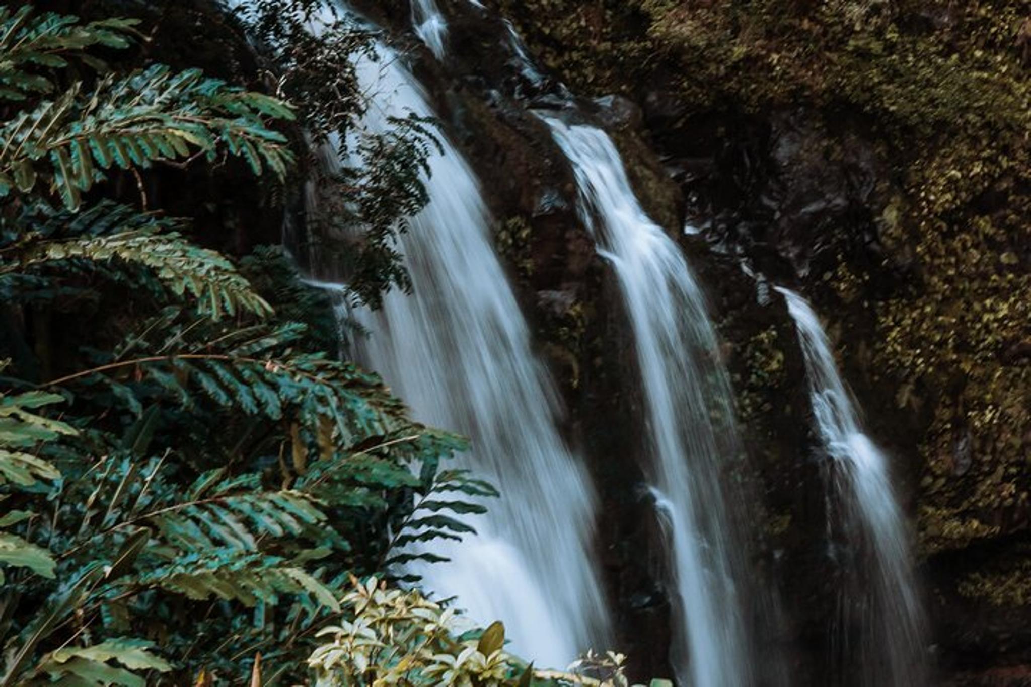 Maui Road to Hana Private Tour - Image 6