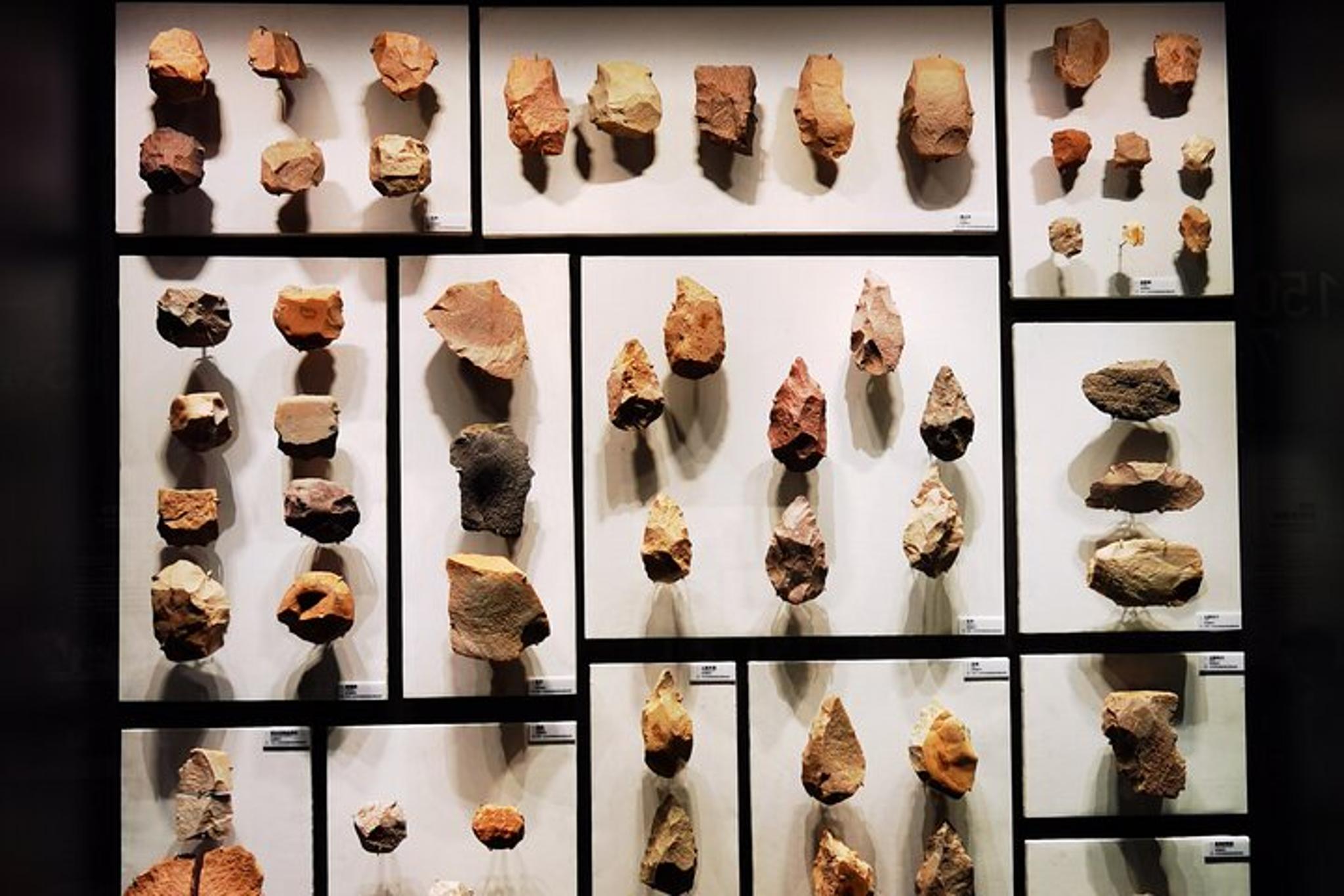 Shaanxi Archaeological Museum Tour - Image 2