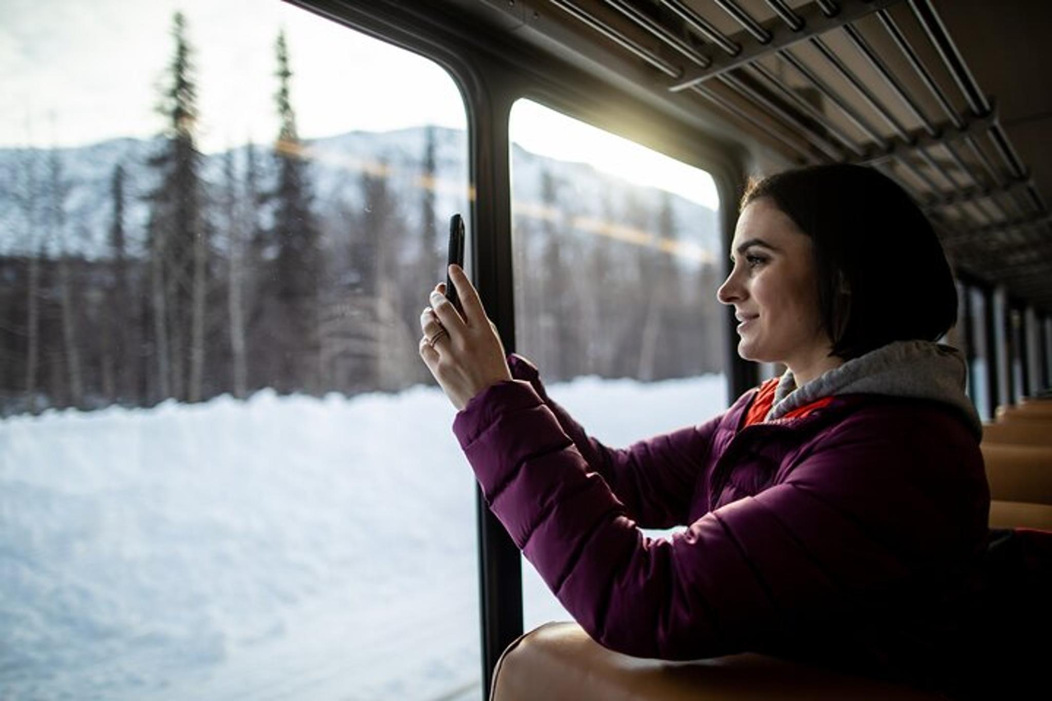 Fairbanks to Anchorage Aurora Winter Train - Image 3