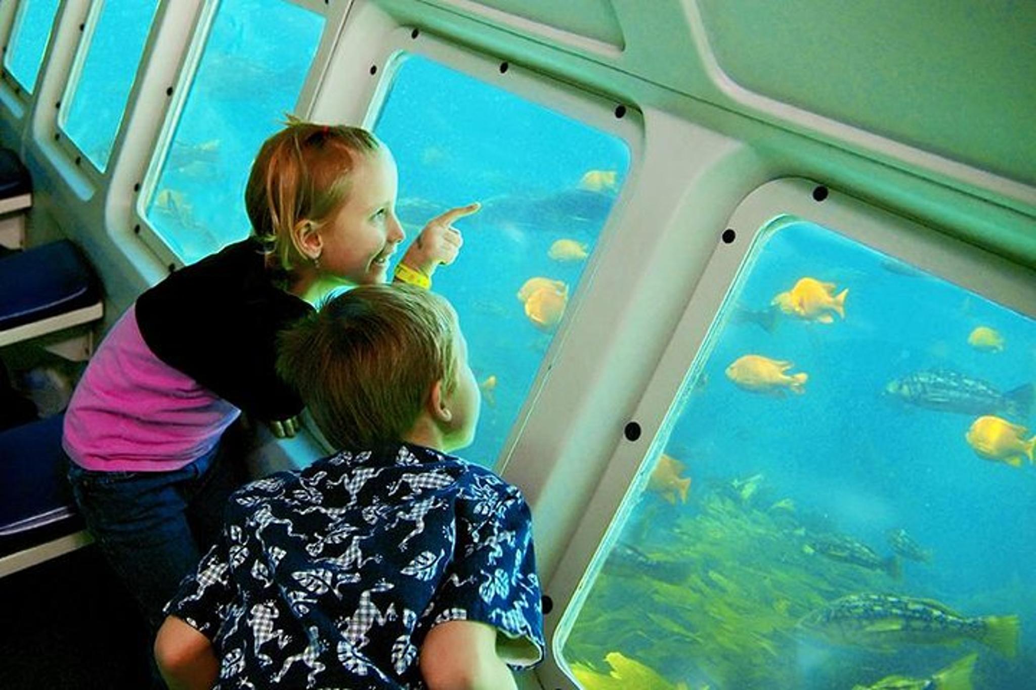 Catalina Island Undersea Expedition - Image 3