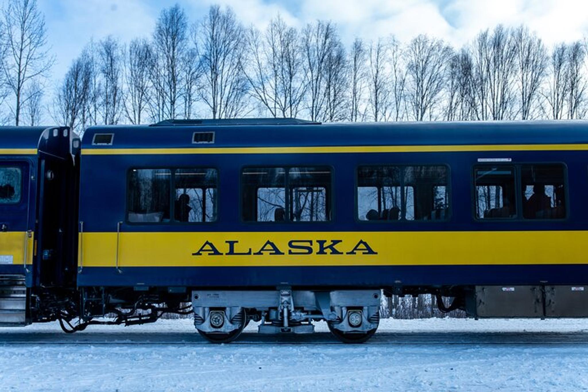 Anchorage to Fairbanks Aurora Winter Train - Image 6