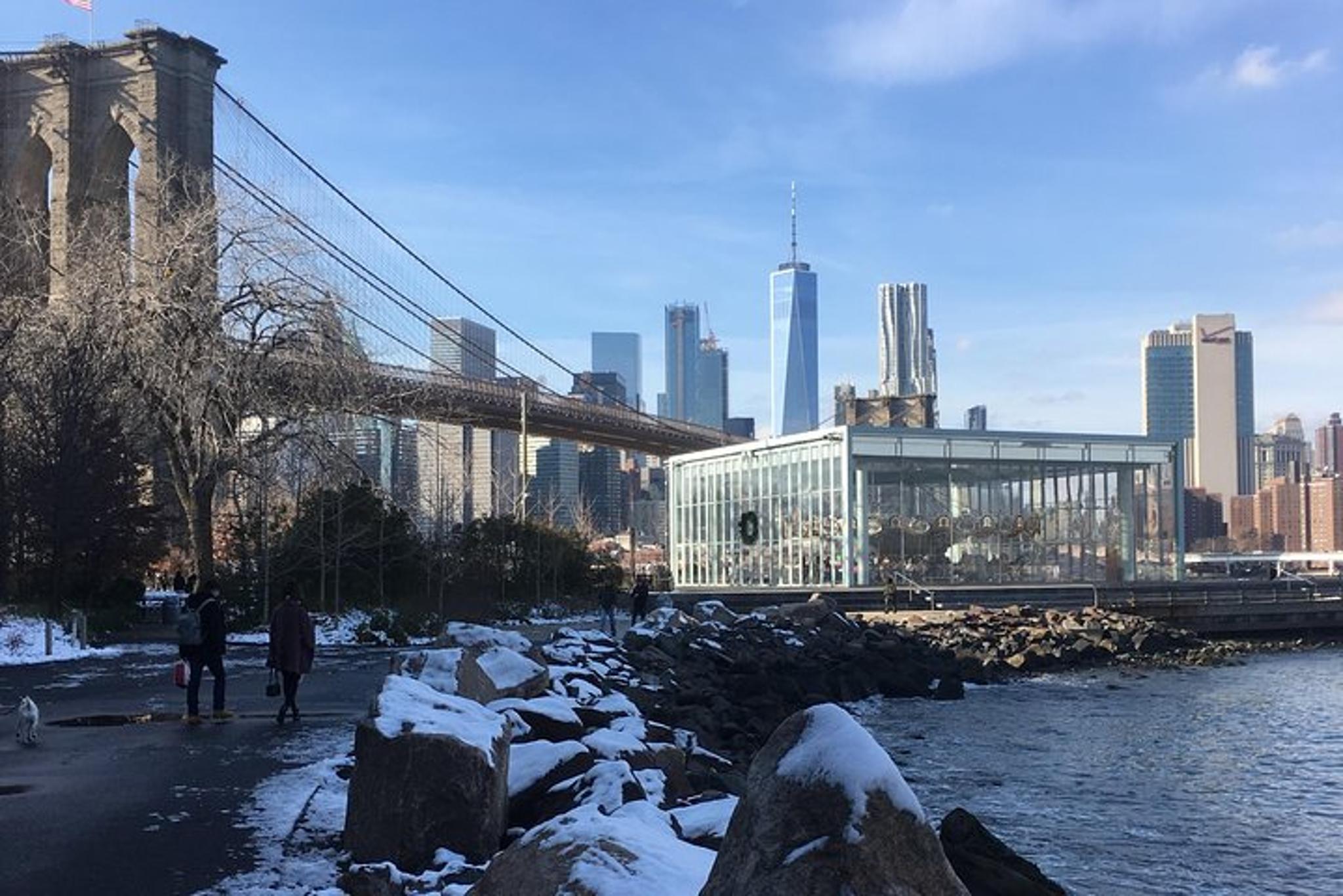 New York City Walking Tour: Brooklyn Bridge and DUMBO - Image 6