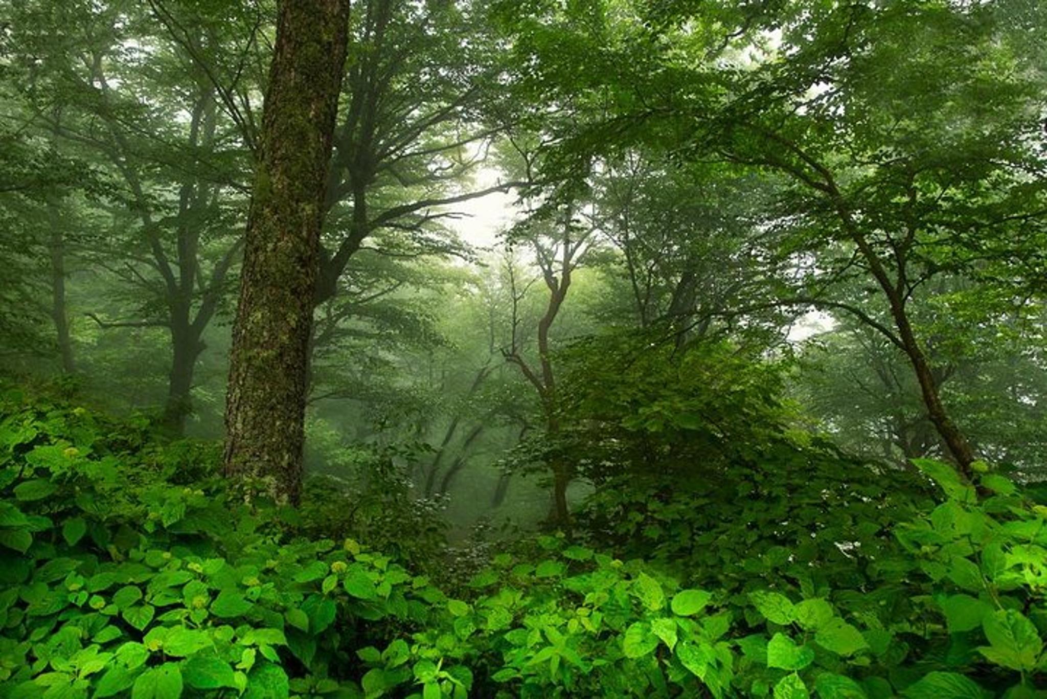 Asheville Waterfall Photography Tour - Image 6