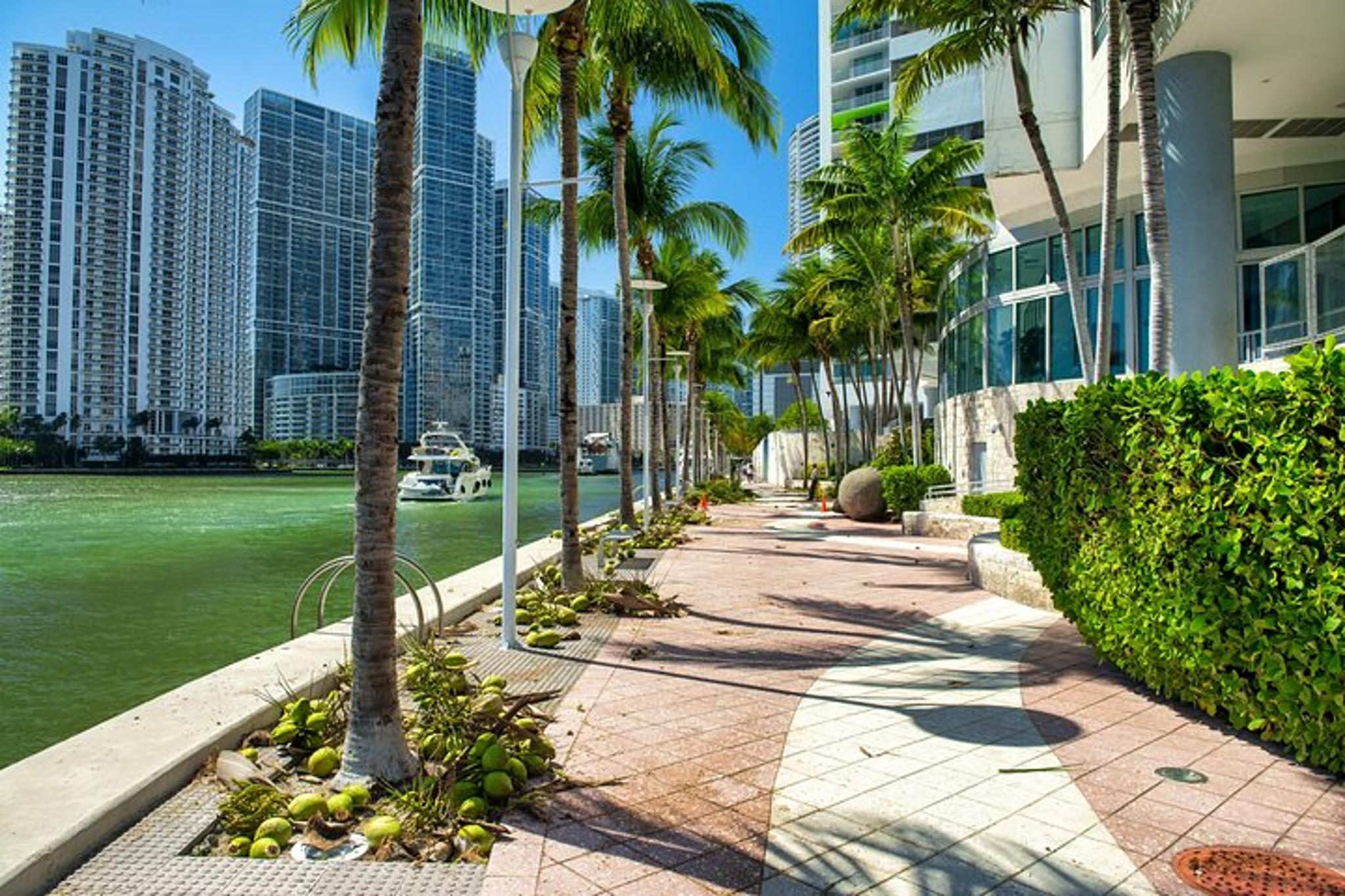 Miami Downtown Walking Tour - Image 4