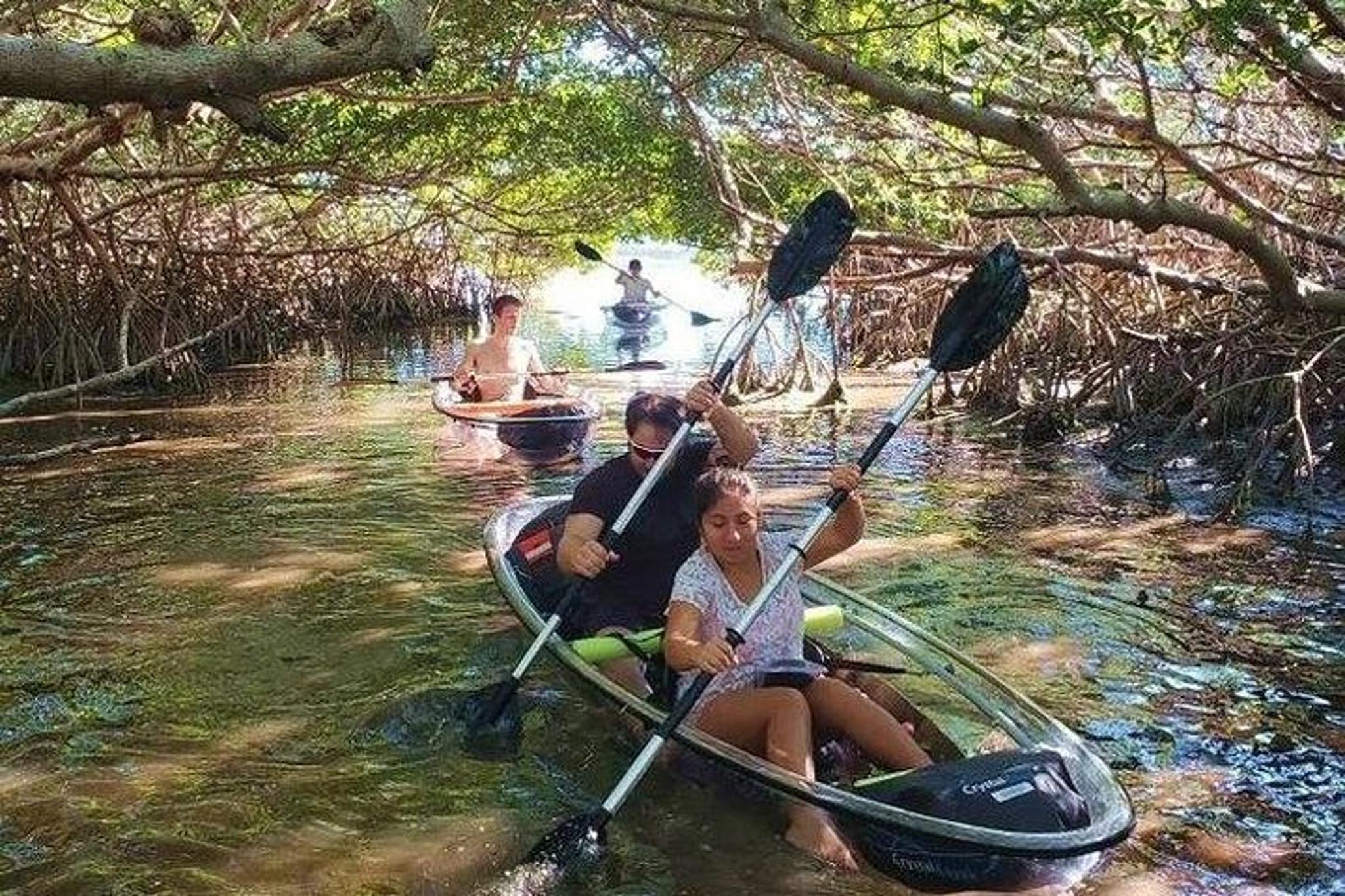 St Pete Clear Kayak Tour in Shell Key - Image 5