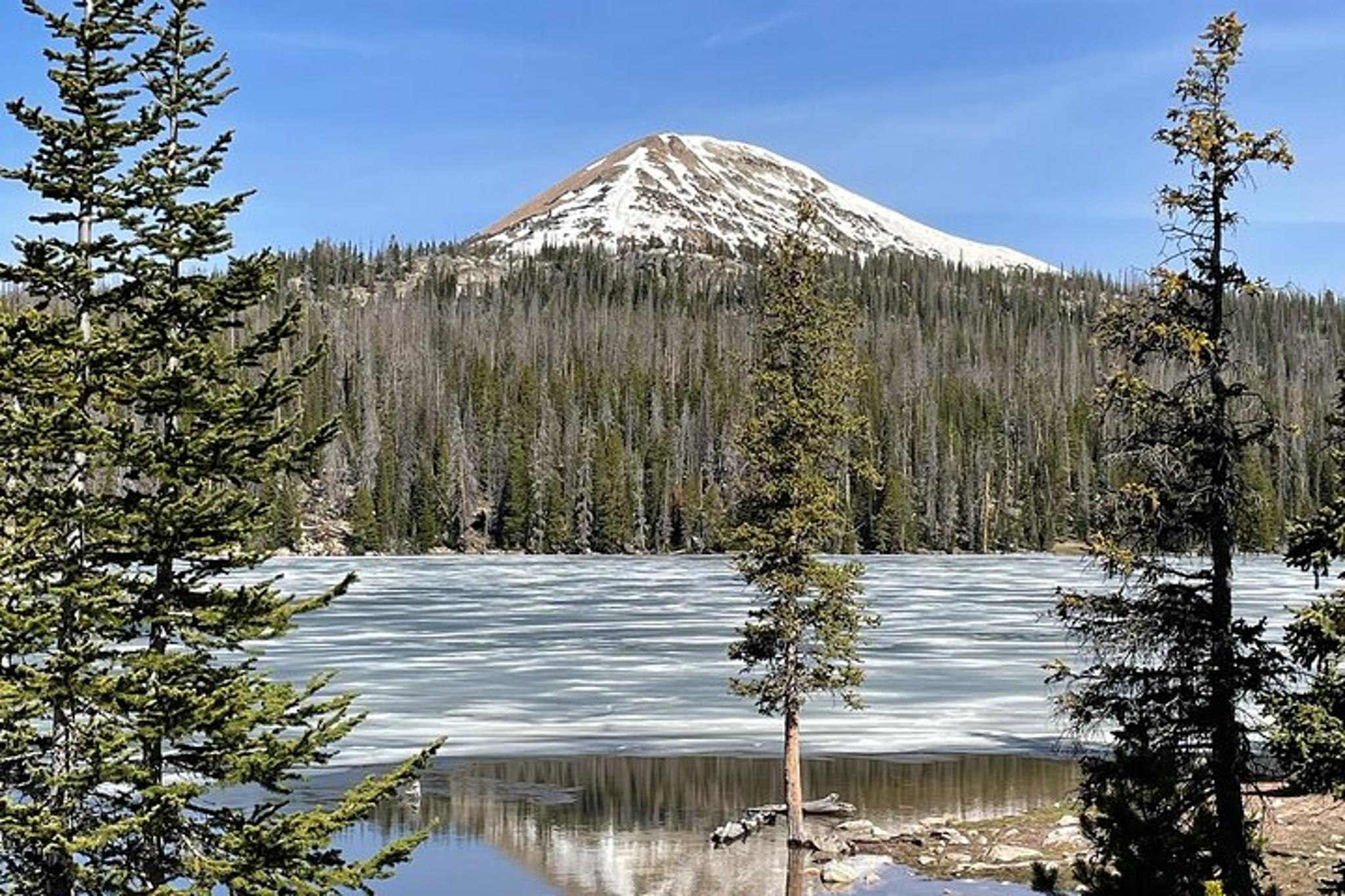 Salt Lake City Birding and Nature Expedition - Image 4