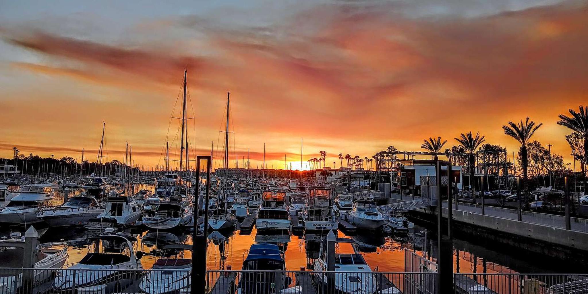 Marina del Rey Scenic Wildlife Boat Cruise - Image 6