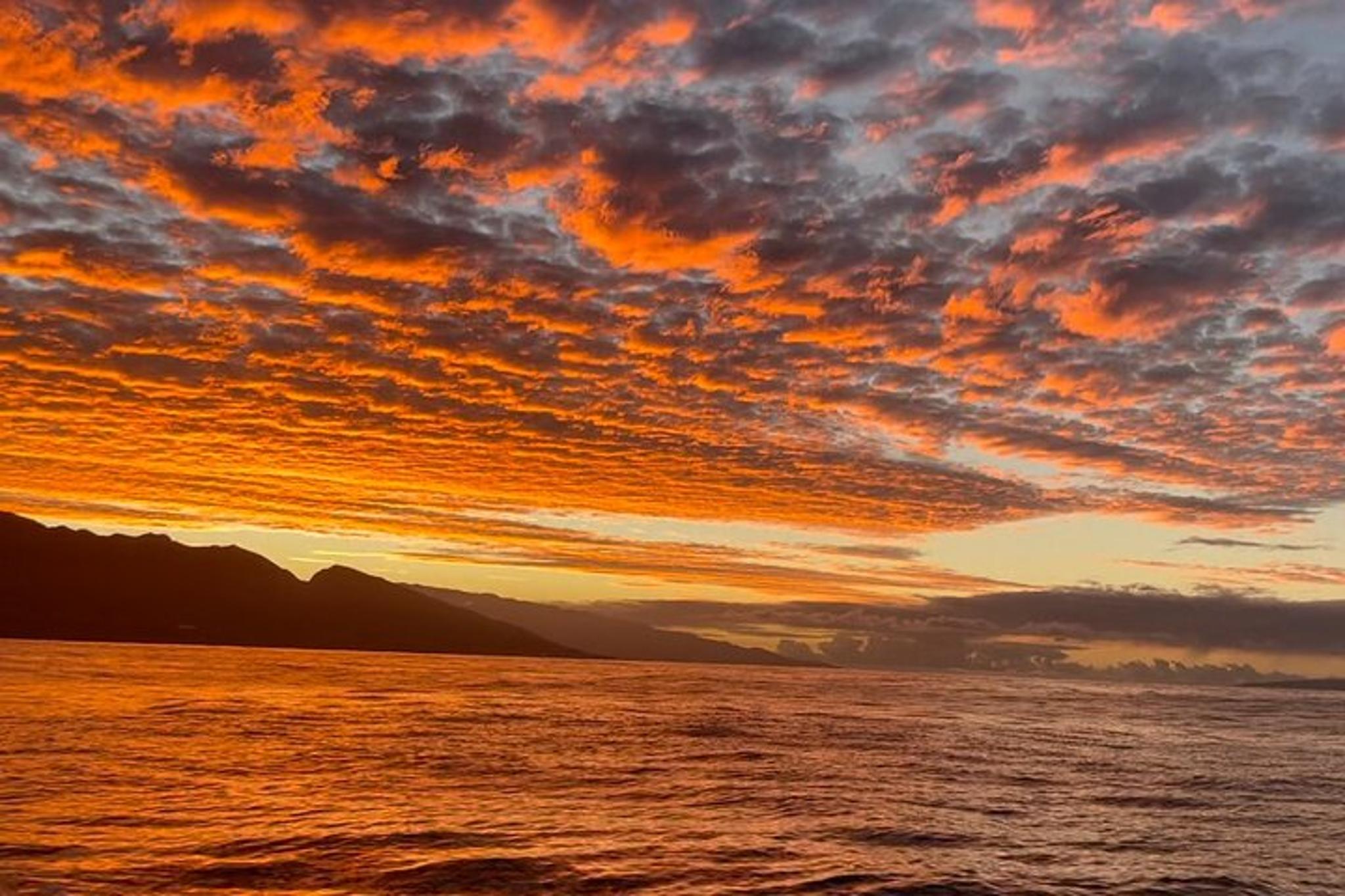 Maui Kayak Whale Watching Tour - Image 2