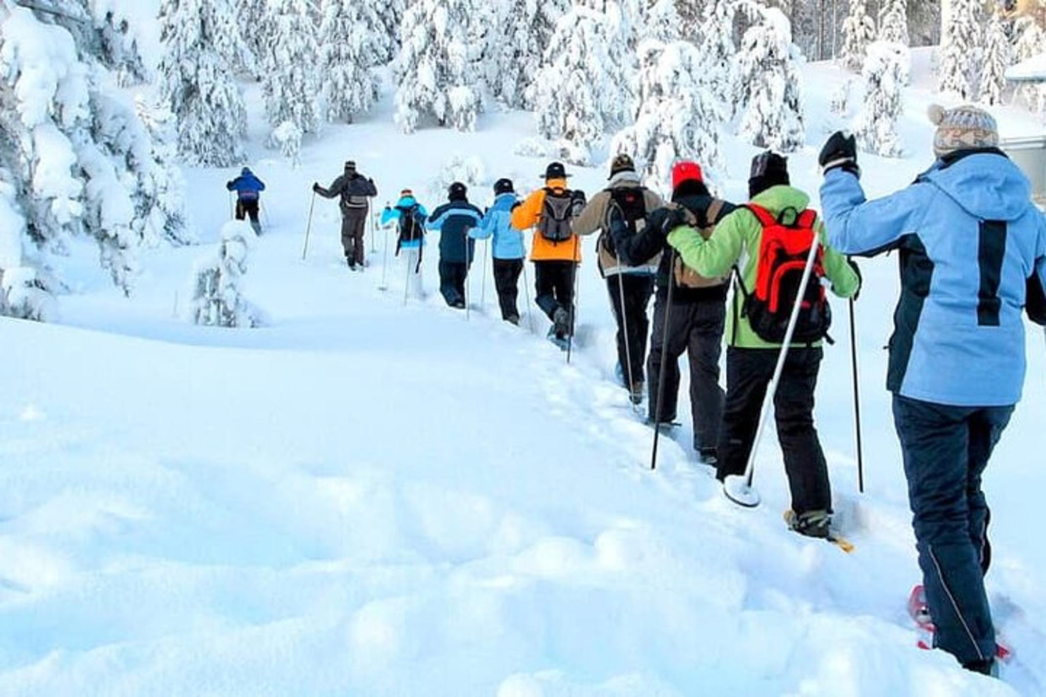 Albuquerque Snowshoe Experience at Sandia Peak - Image 4