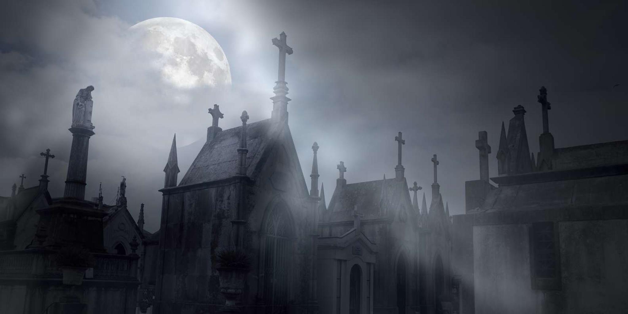 New Orleans Night Cemetery and Ghost Bus Tour - Image 3