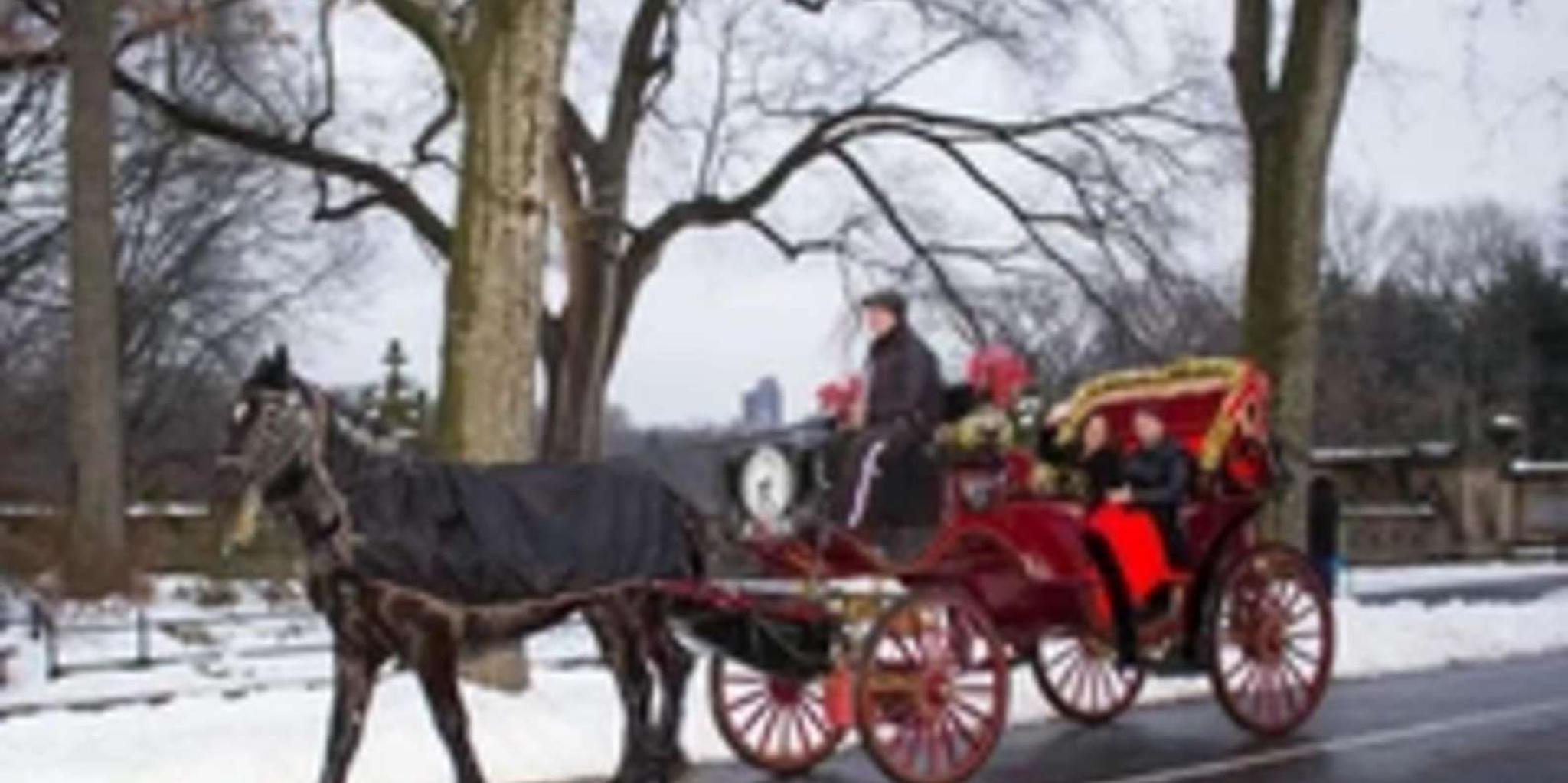 New York City Central Park Horse Carriage Ride 45 Min - Image 2