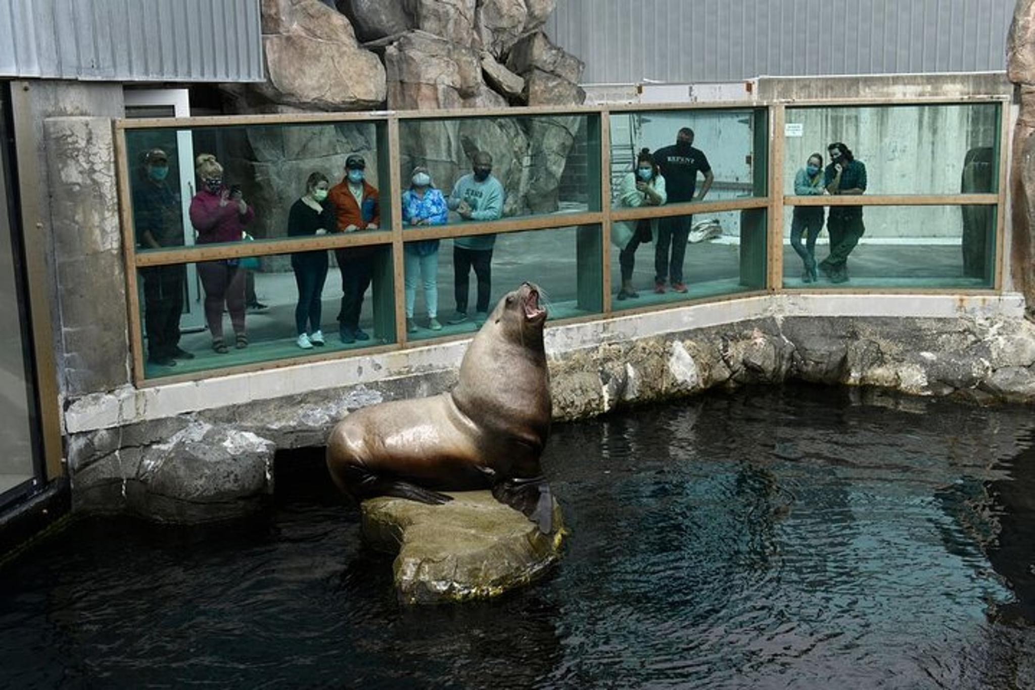 Seward Self-Guided Audio Tour - Image 6