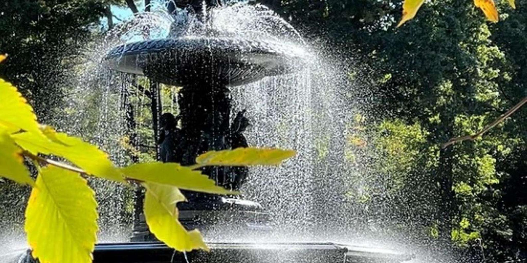 New York Central Park Selfie Tour with Photographer - Image 4