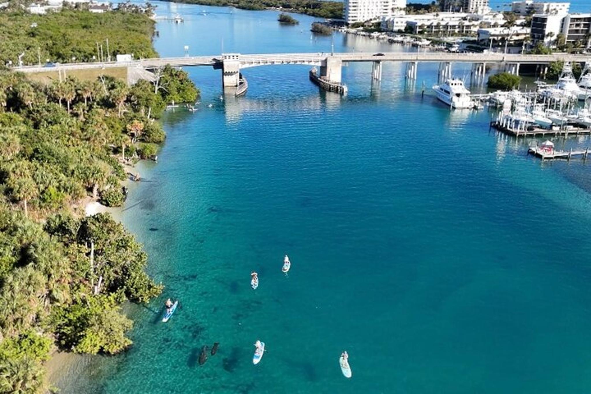 Jupiter Island Paddle Boarding Tour - Image 3