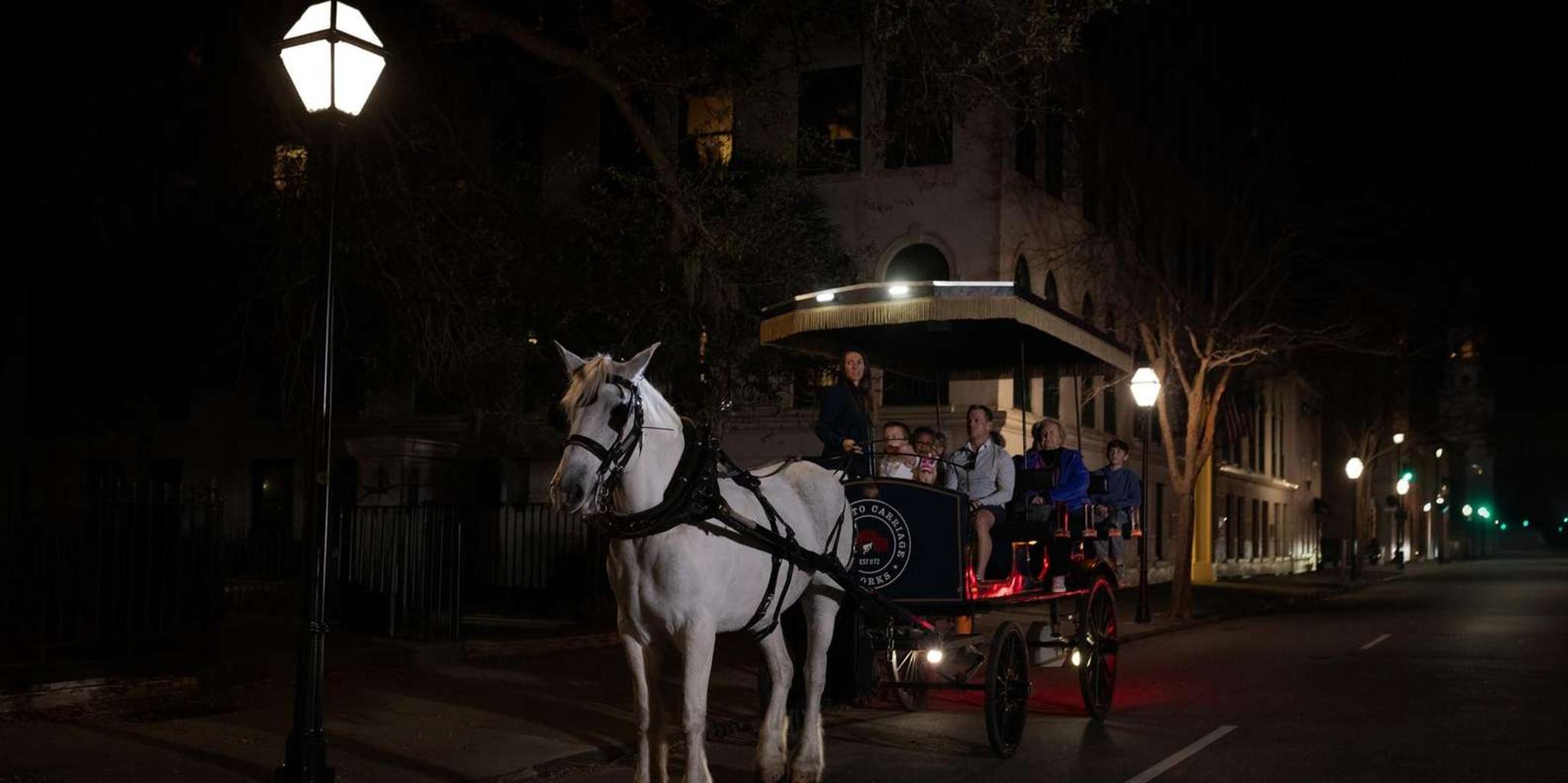 Charleston Haunted Horse-Drawn Carriage Evening Tour - Image 4