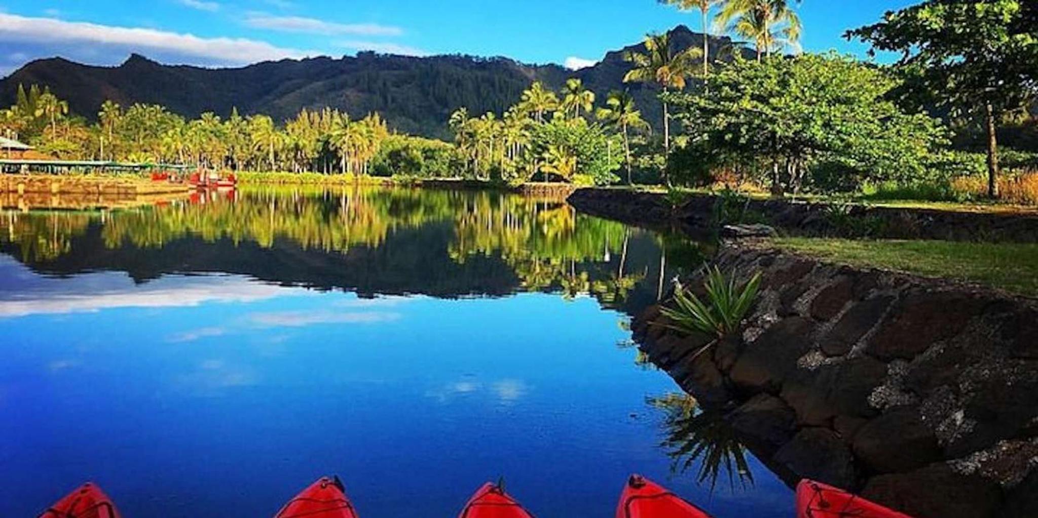 Kauai Wailua River Kayak Adventure with Waterfalls - Image 5