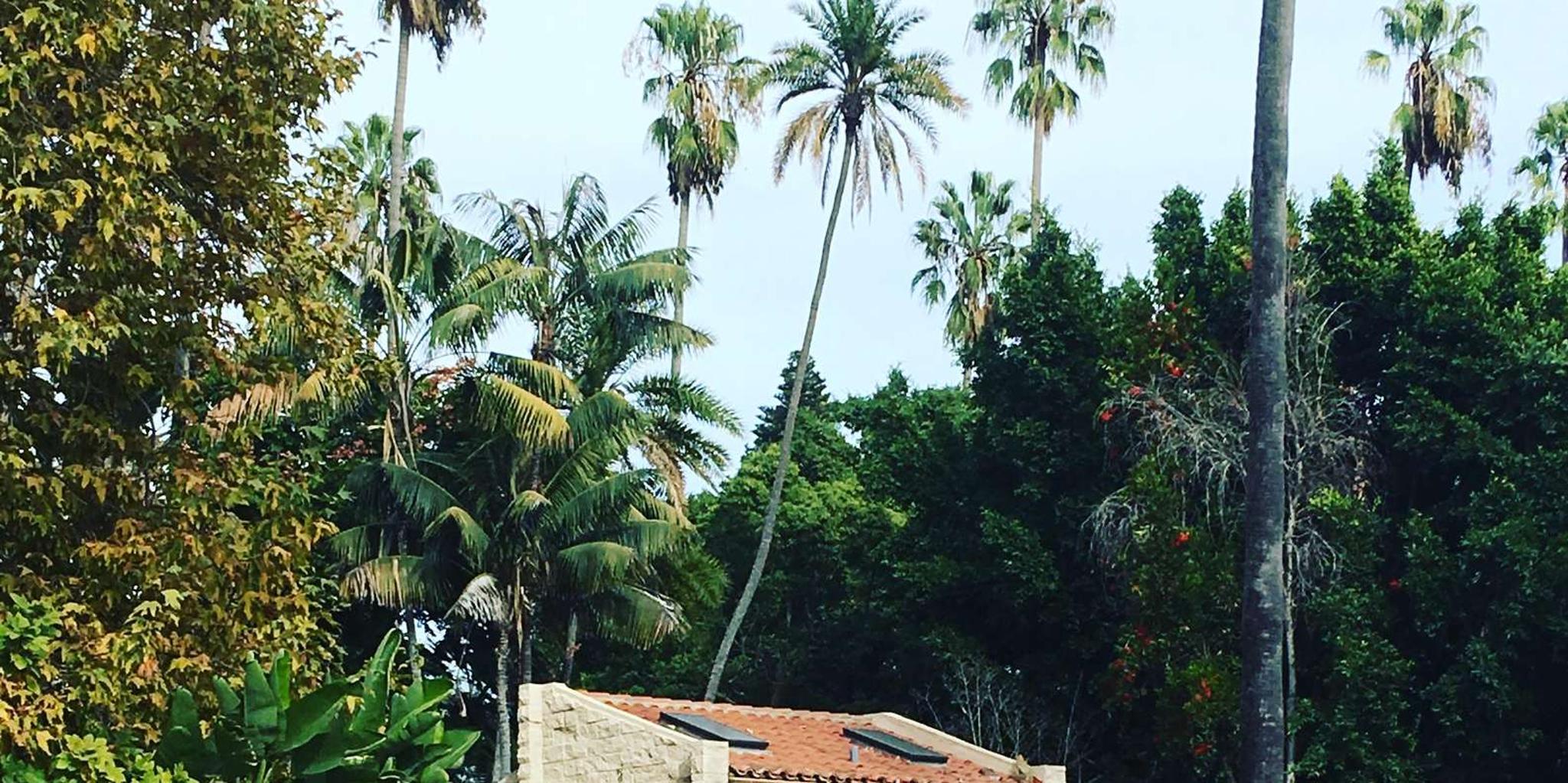 Beverly Hills Reality TV and Scandals Tour - Image 3