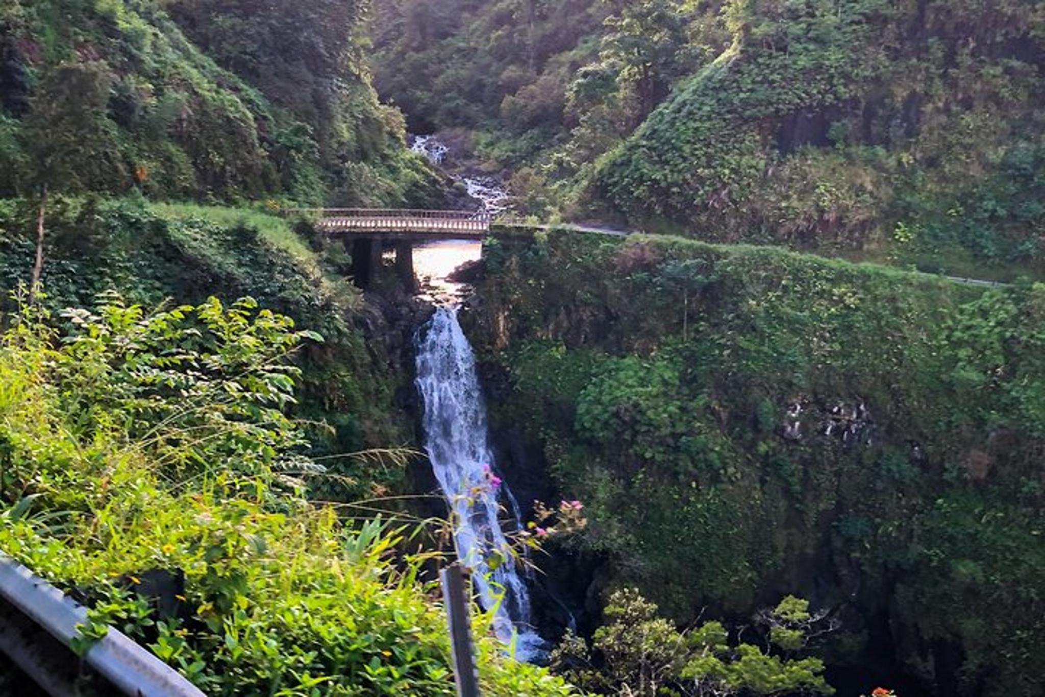 Maui Road to Hana Private Tour - Image 3