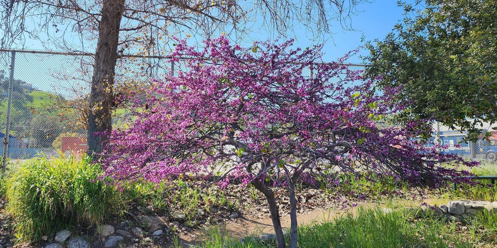 Los Angeles River Eco Tour and Secret Stair Hike - Image 2