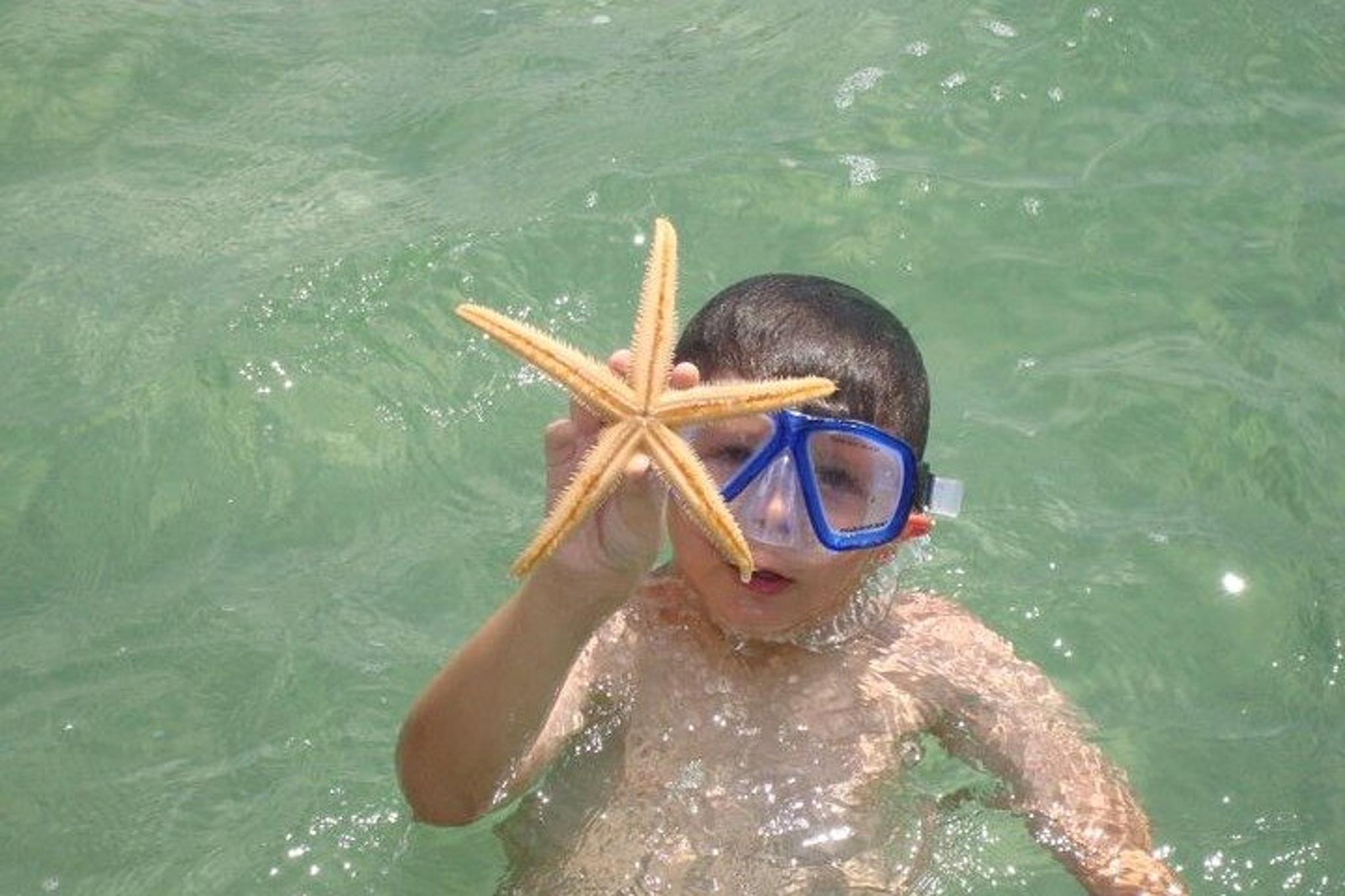 Panama City Dolphin and Snorkeling Tour - Image 4