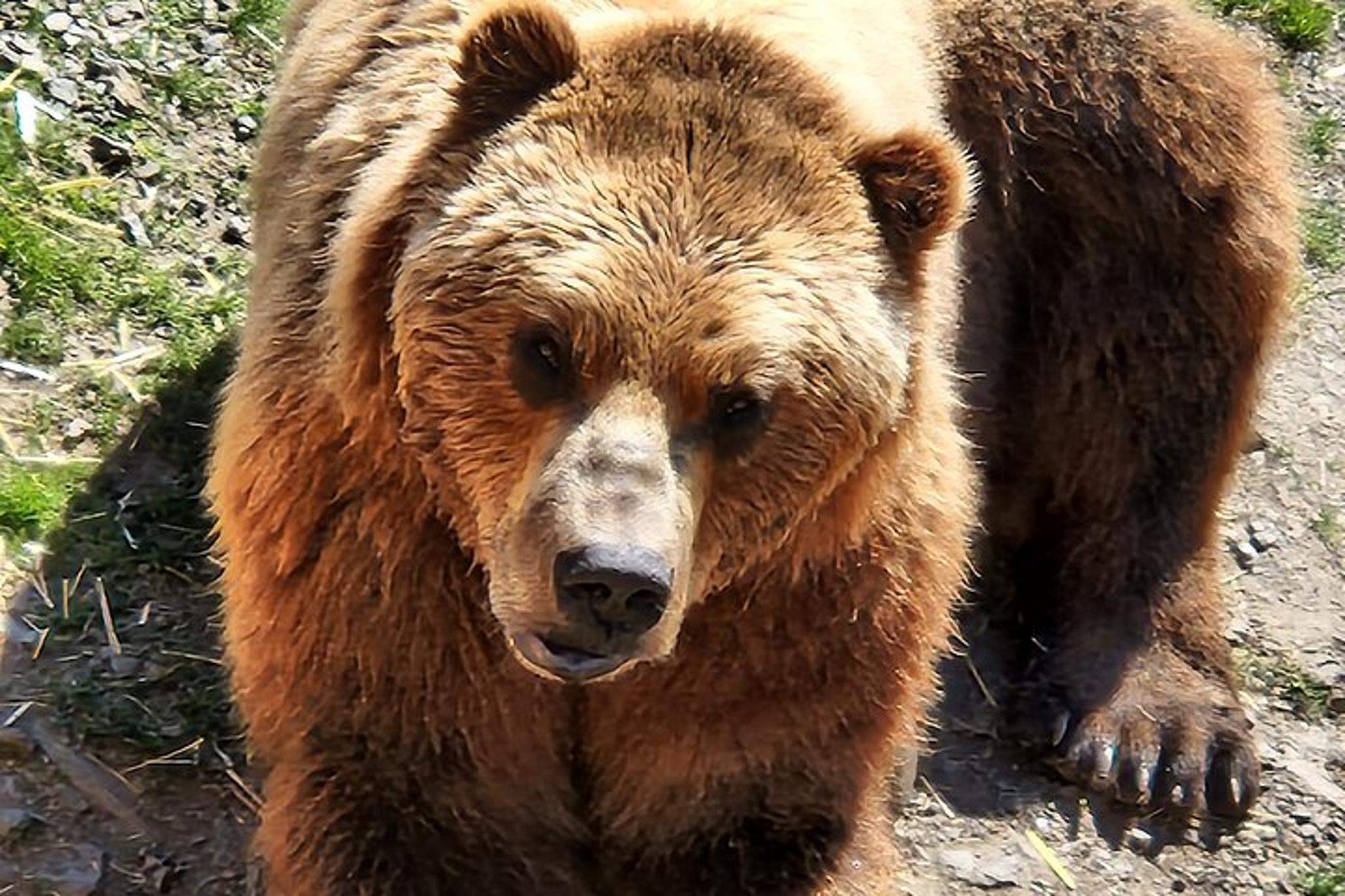 Sitka Private Tour - Image 6