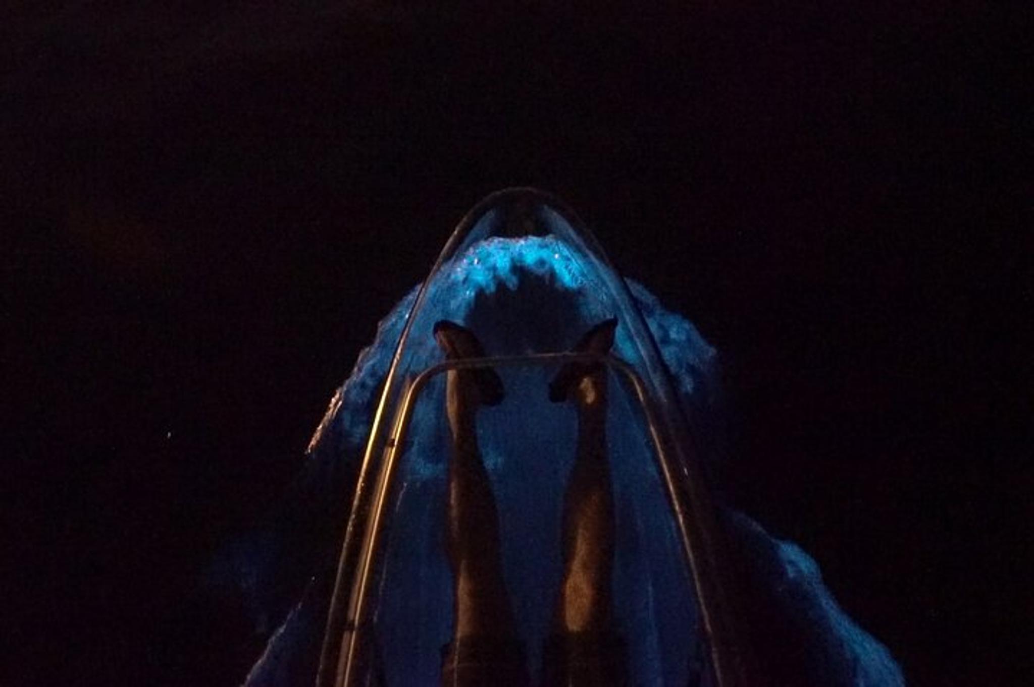 Merritt Island Clear Kayak Bioluminescence Tour 2 hr