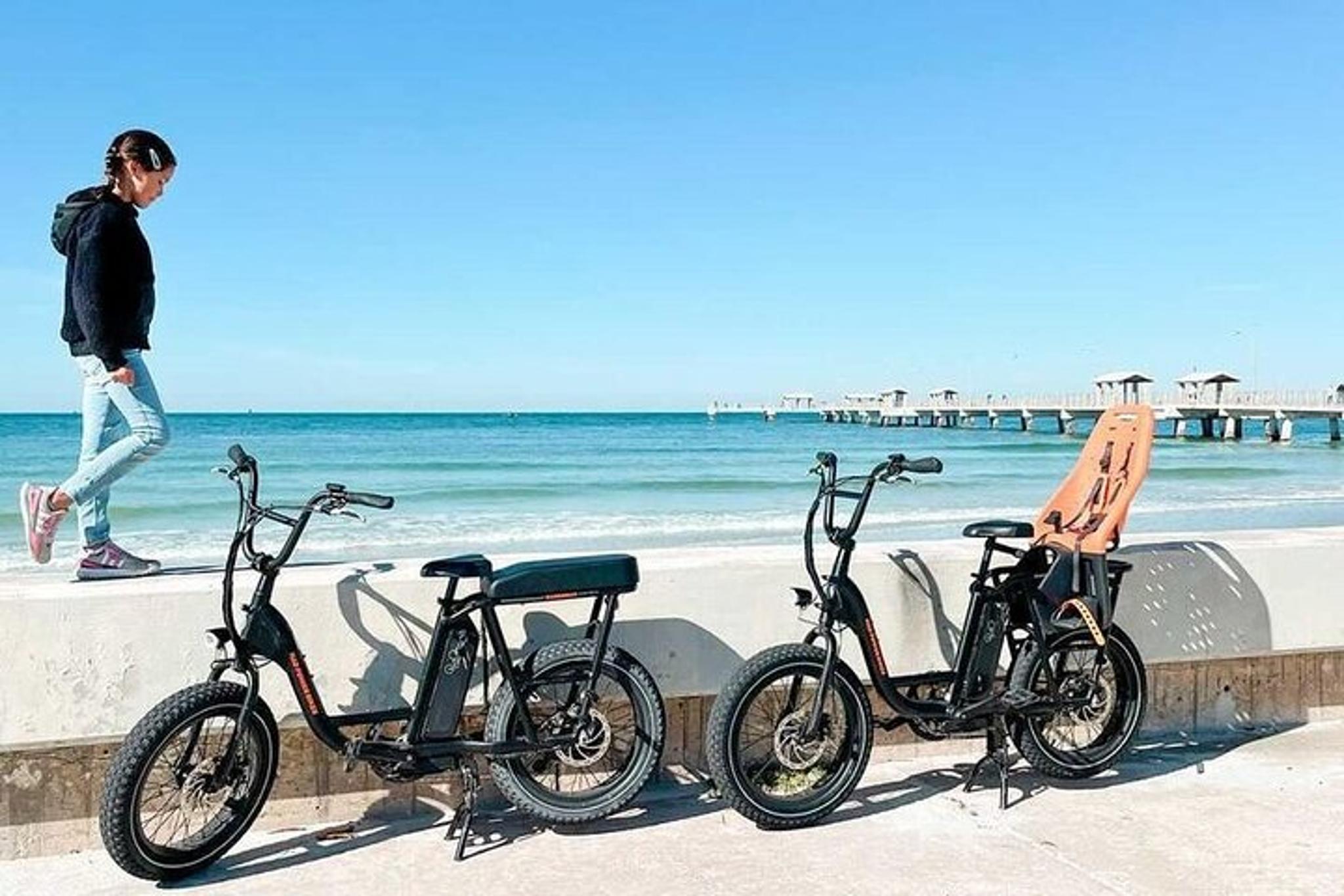 Fort De Soto Electric Bike Wildlife & History Tour - Image 5