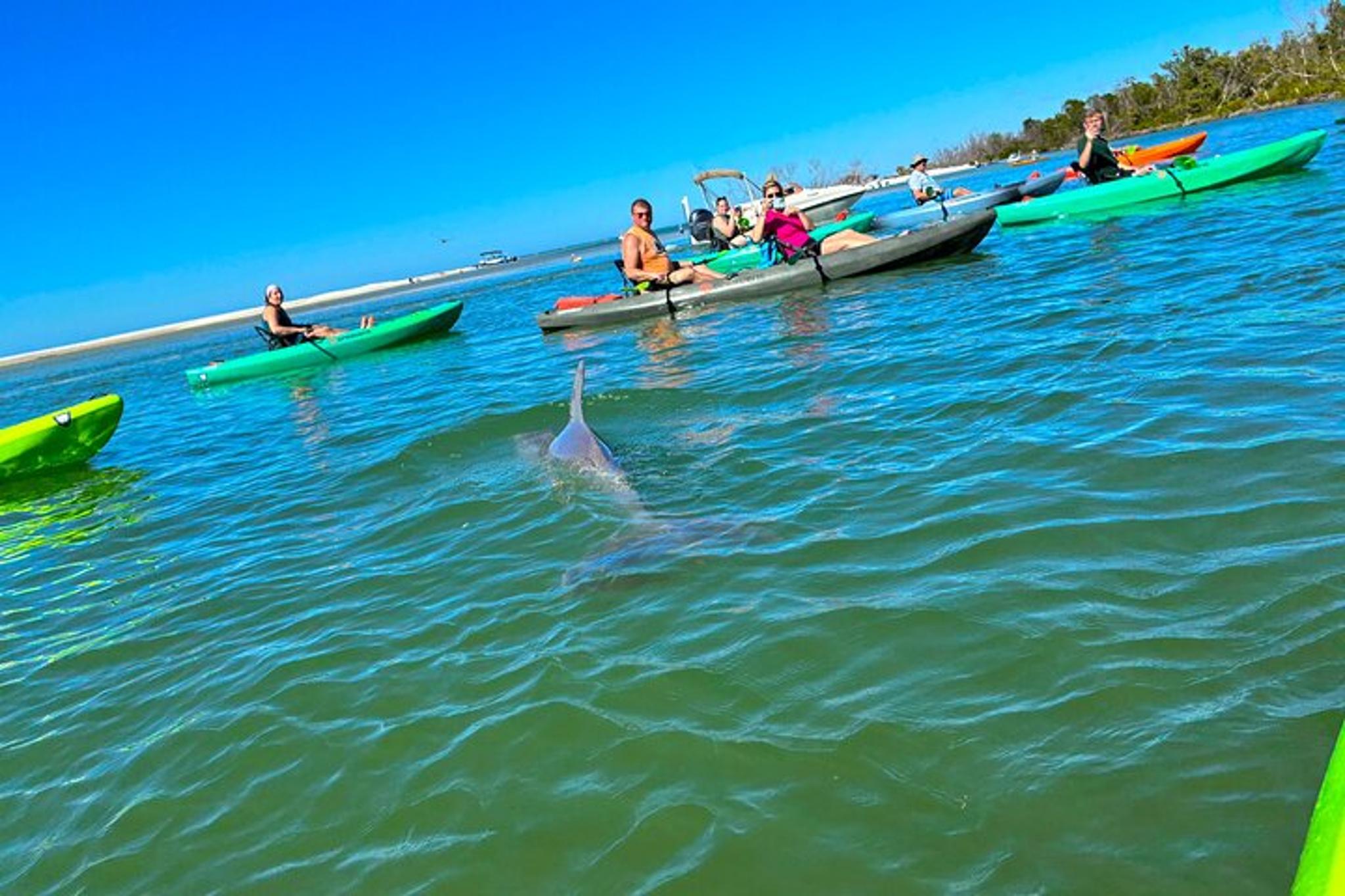 Bonita Springs Eco Kayak Tour - Image 6