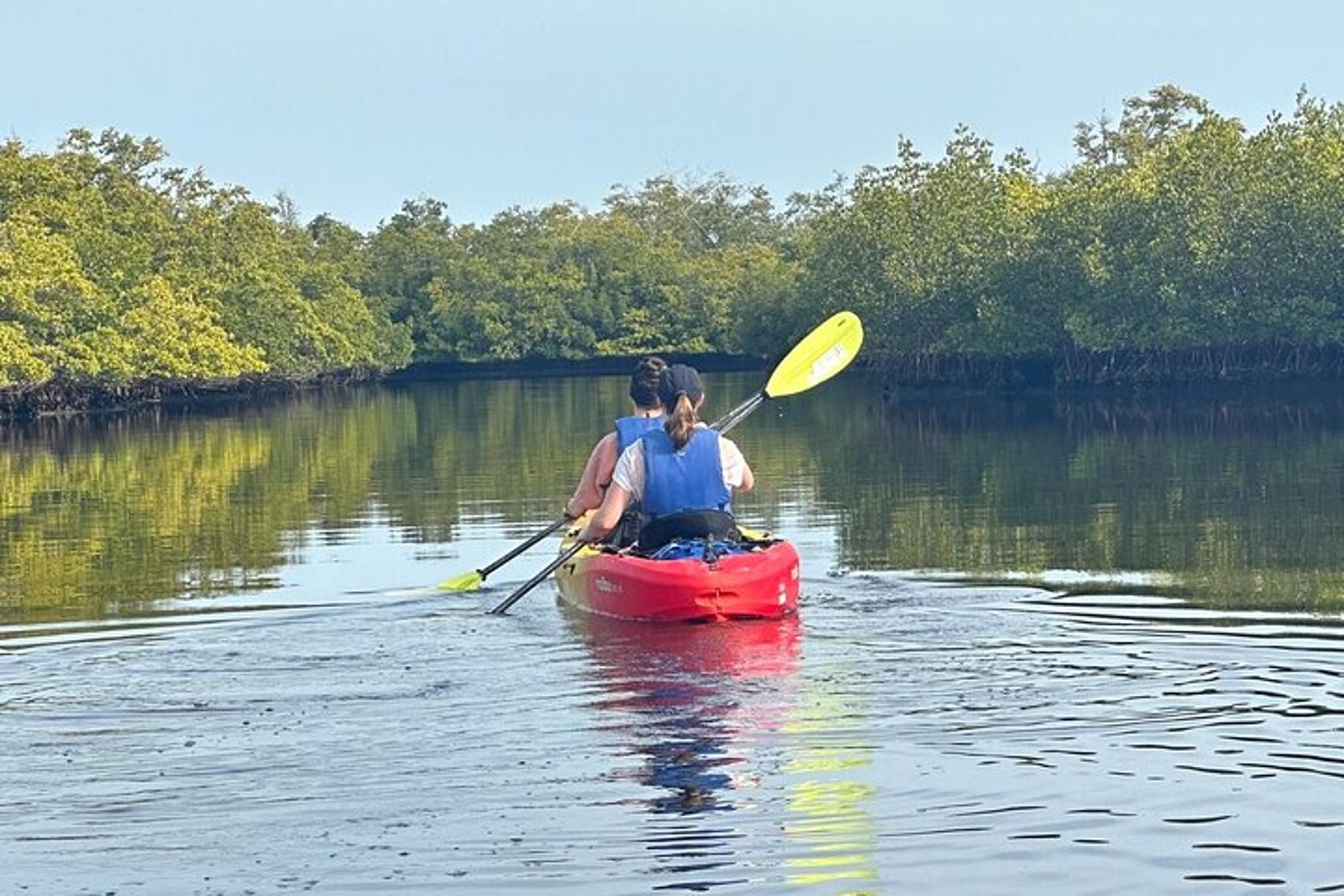 Robinson Preserve Mangrove Kayak Tour - Image 5