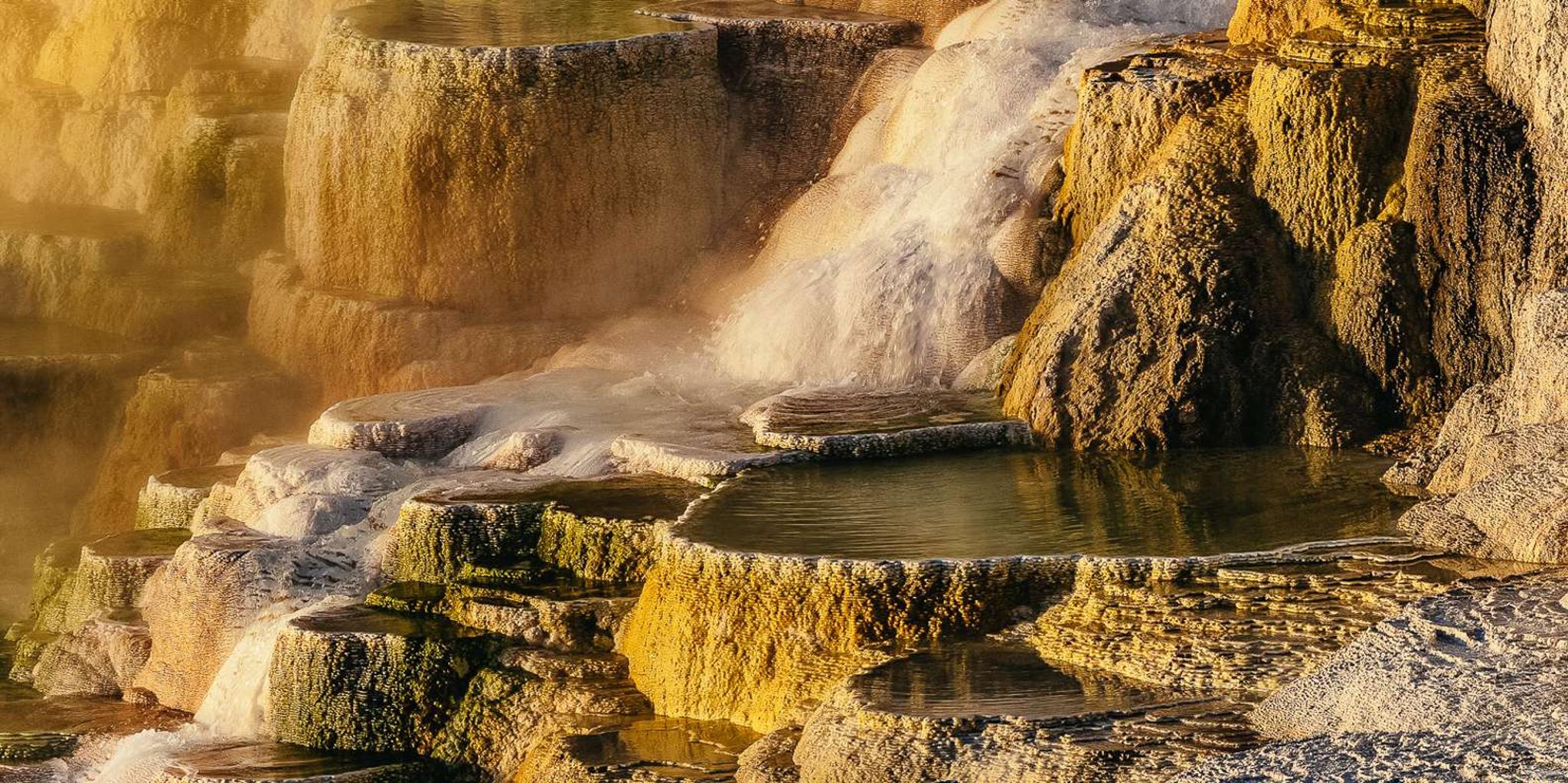 Jackson Yellowstone National Park Tour 2-Day