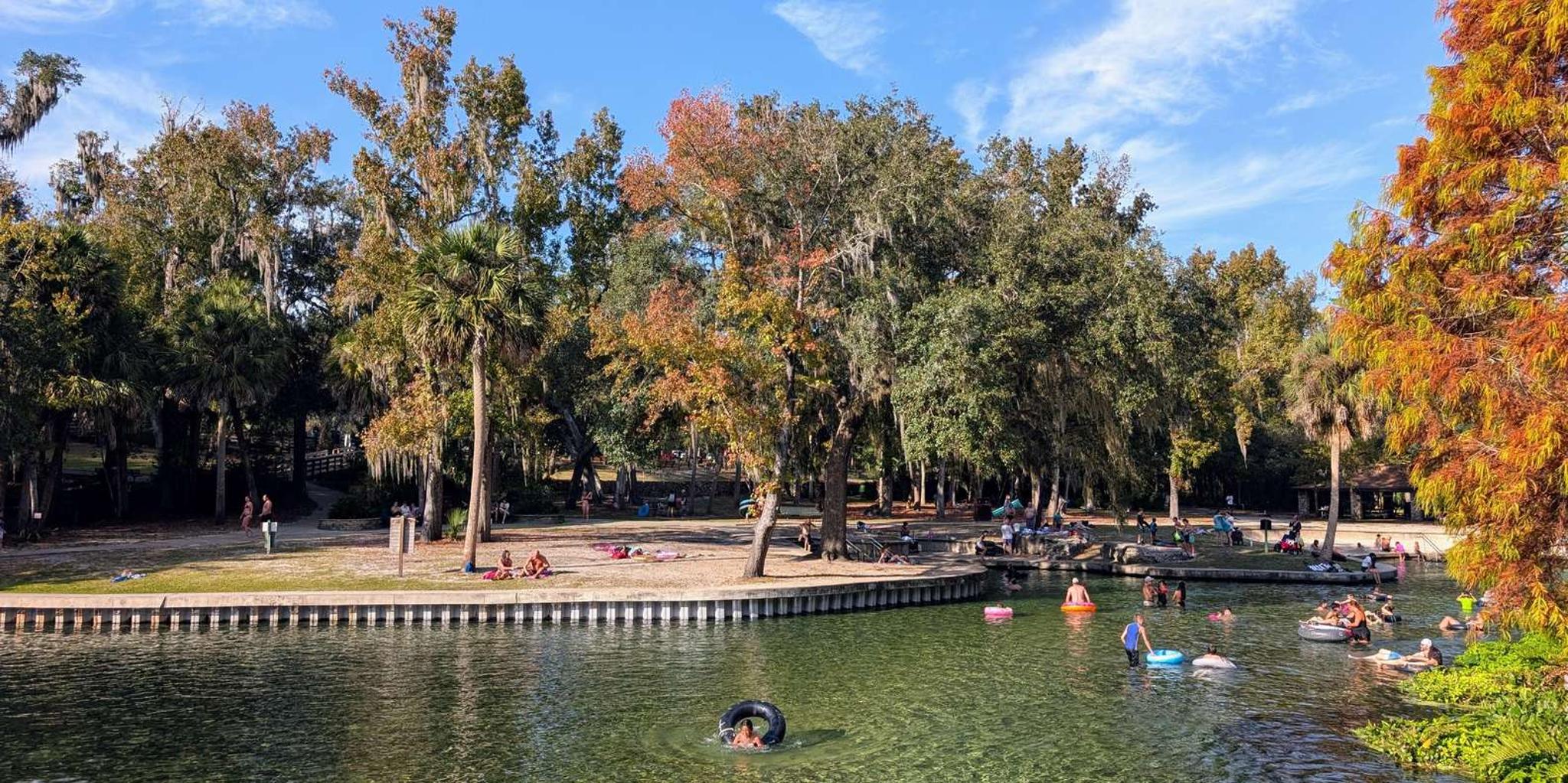 Orlando Everglades Airboat Tour - Image 3