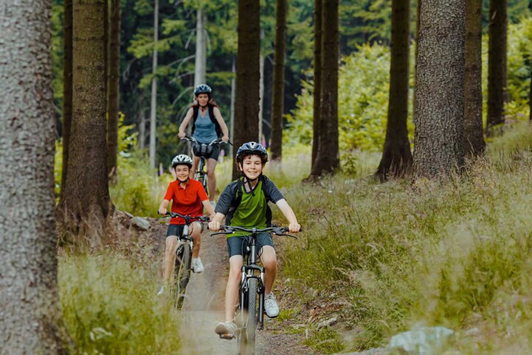 Breckenridge Bike Rental - Image 2