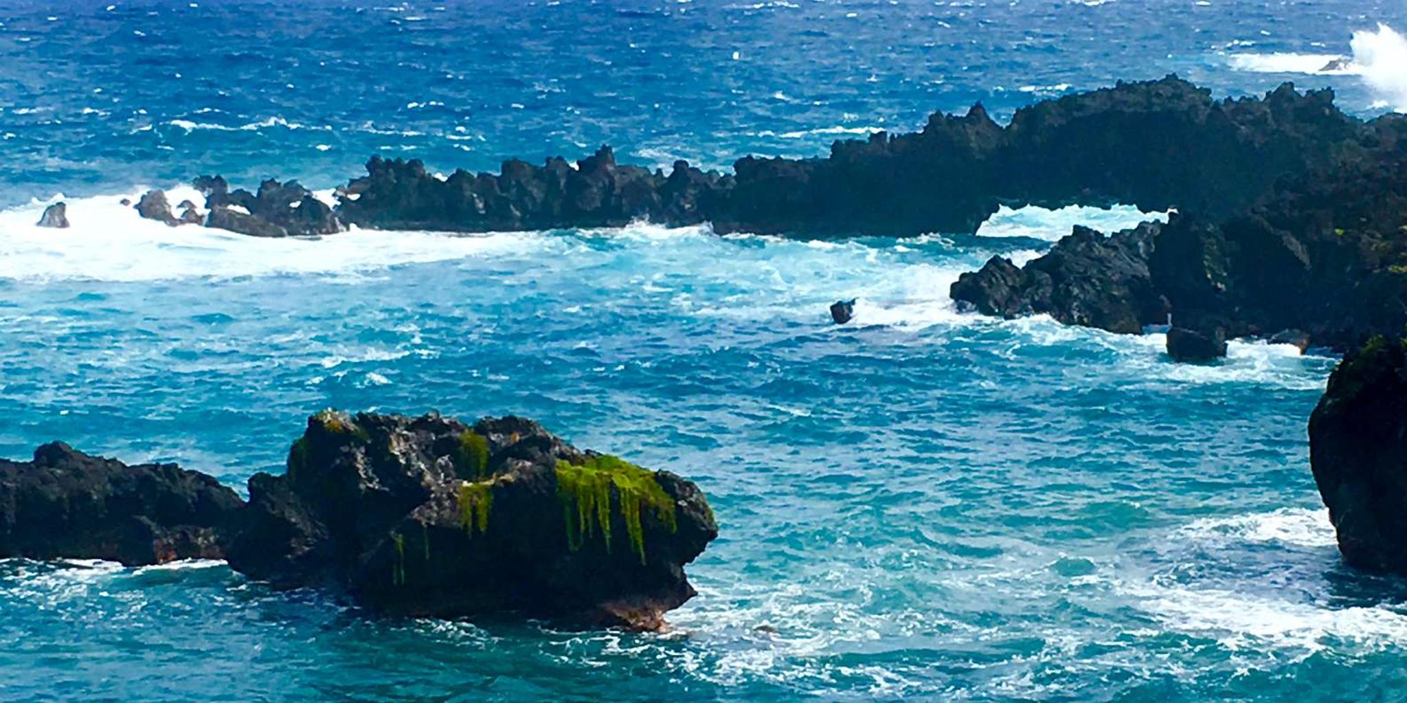 East Maui Rainforest and Road to Hana Tour - Image 6