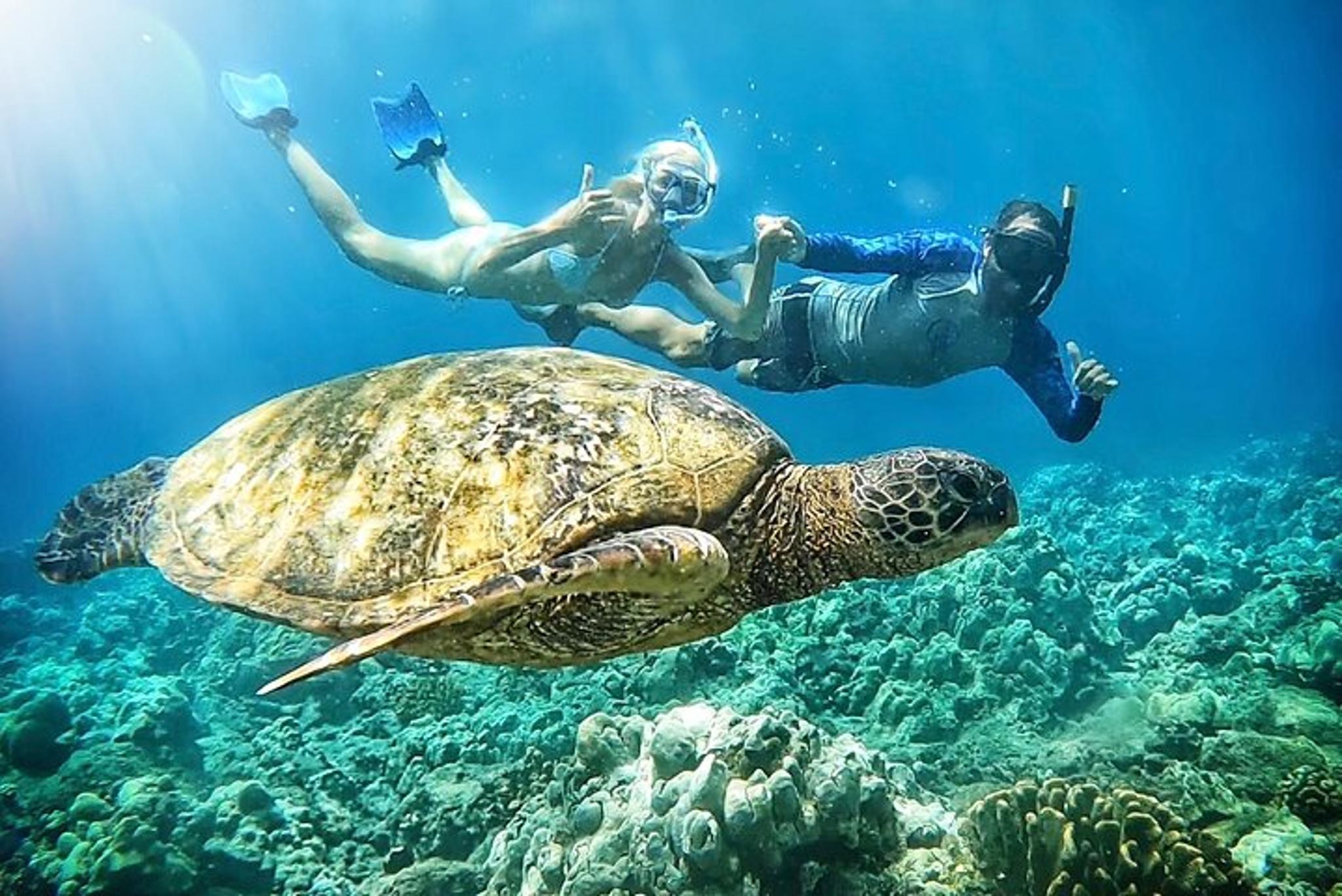 Maui Snorkel Tour with Marine Biologist 2 hr - Image 2