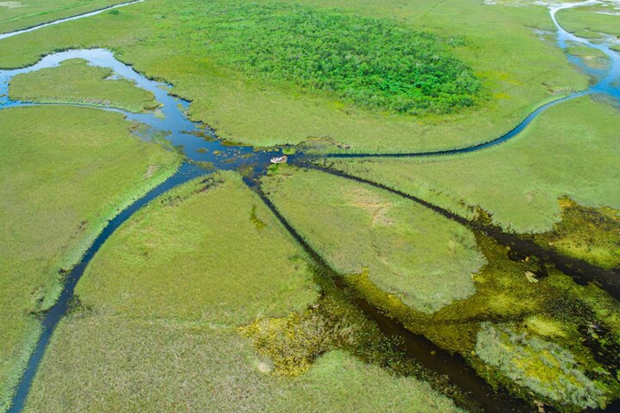 Miami Everglades Airboat Tour with Pickup 1 hr - Image 5