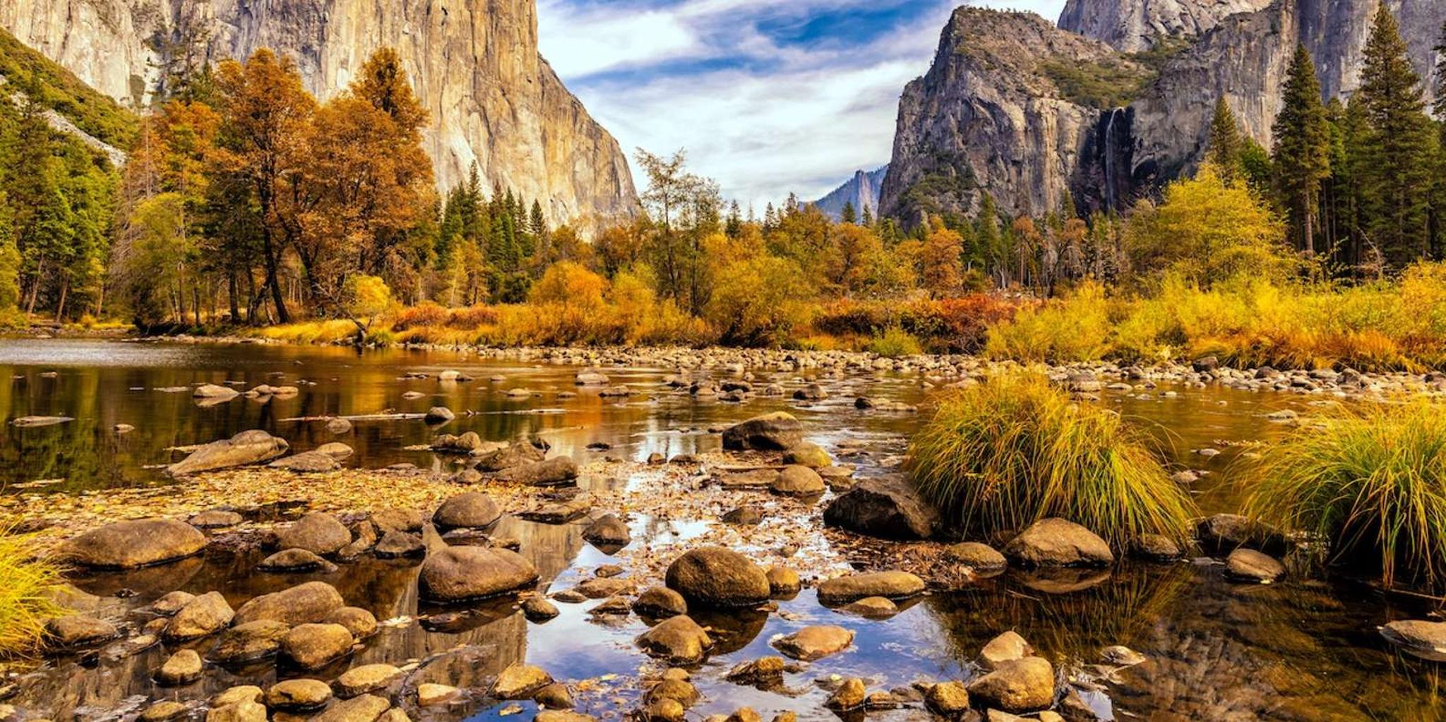 San Francisco Yosemite Park 2-Day Tour - Image 4