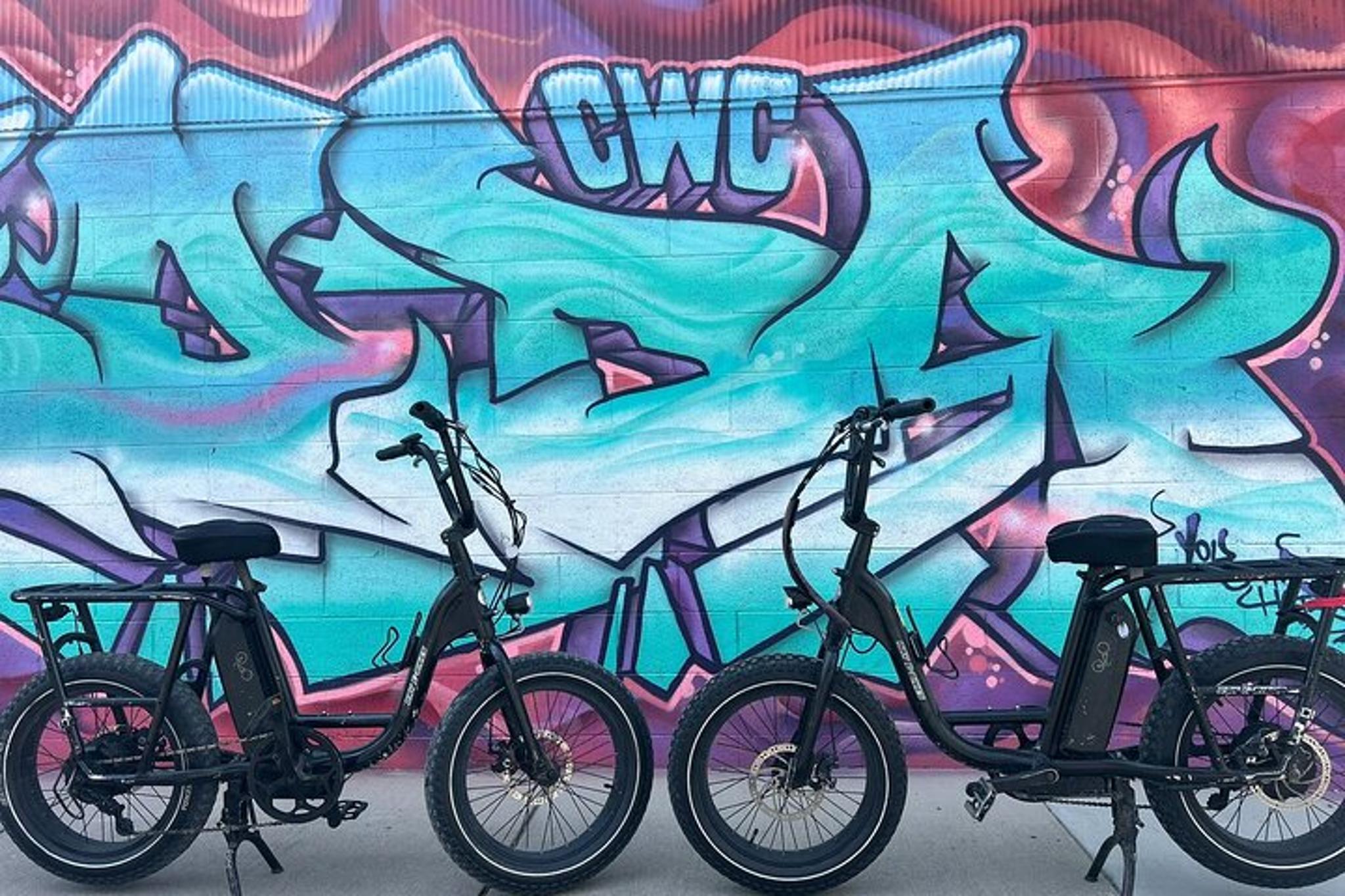 Asheville E-bike Tour of River Arts and Murals - Image 4