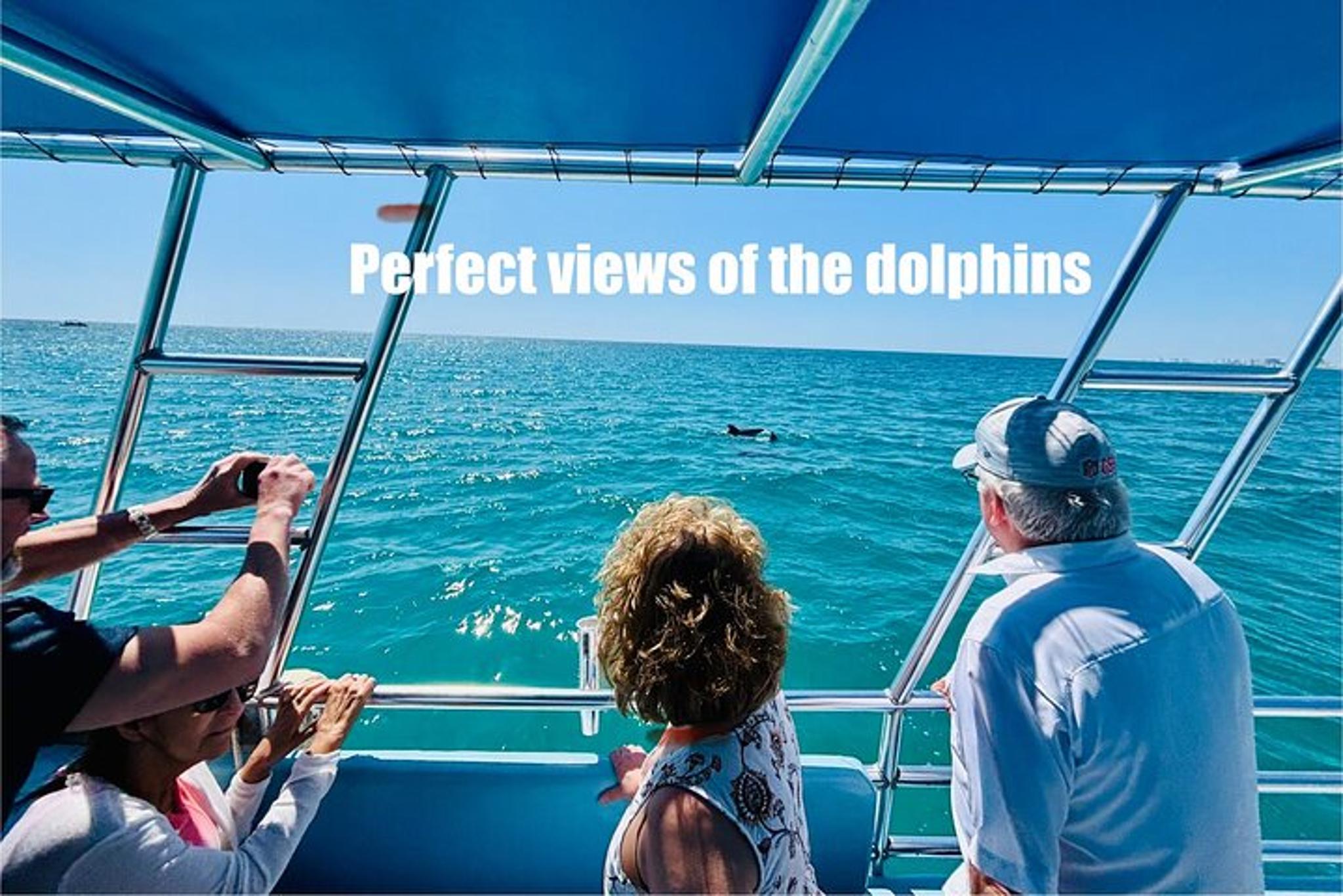 Panama City Beach Dolphin Sightseeing Boat Tour - Image 3